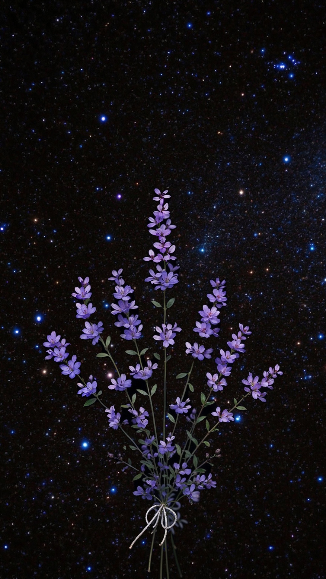 Geissorhiza, Utilisé, Créer, Blog, Idée. Wallpaper in 1080x1920 Resolution