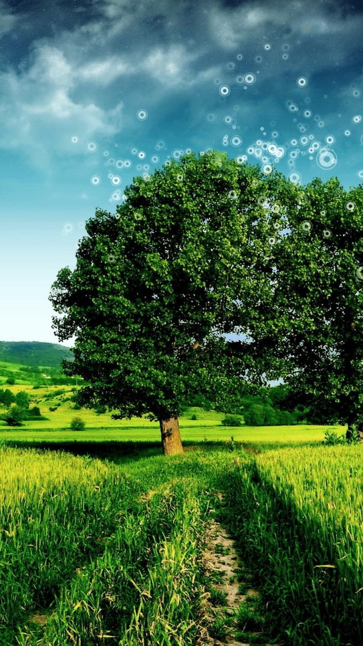 Green Grass Field With Green Trees Under Blue Sky and White Clouds During Daytime. Wallpaper in 720x1280 Resolution