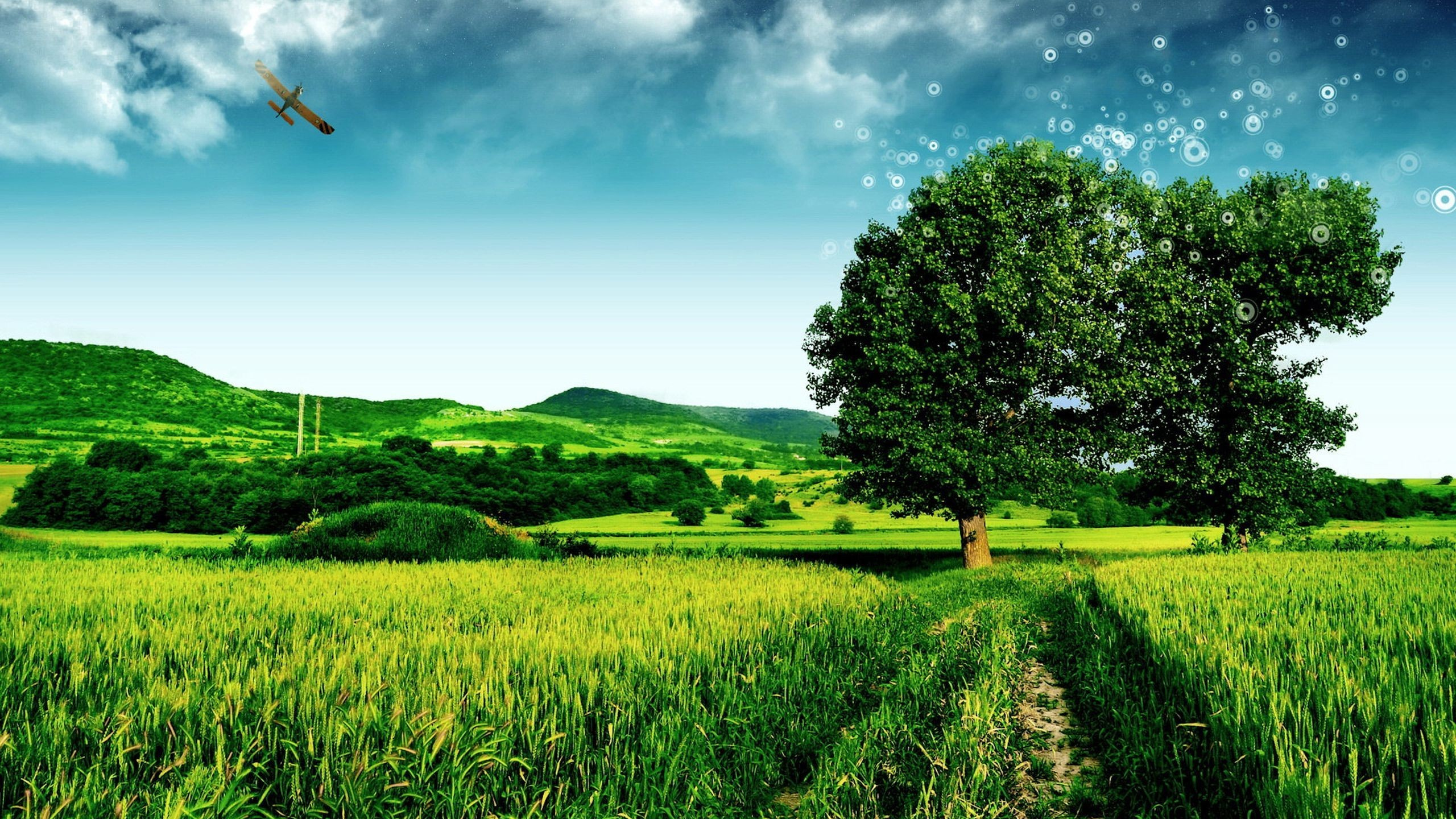 Grüne Wiese Mit Grünen Bäumen Unter Blauem Himmel Und Weißen Wolken Tagsüber. Wallpaper in 2560x1440 Resolution