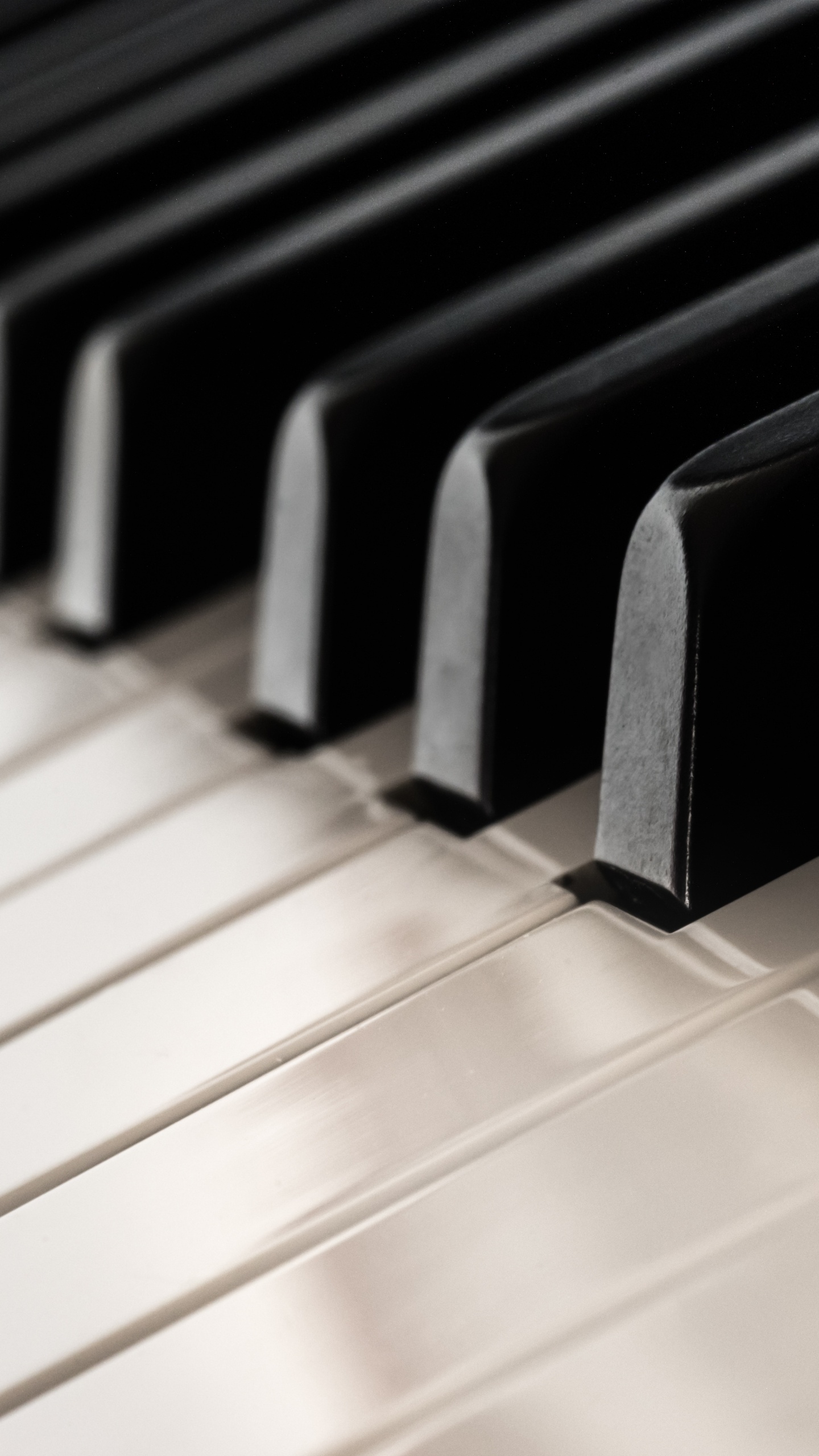 Piano, Keyboard, Violin, Musical Keyboard, Musical Instrument. Wallpaper in 1440x2560 Resolution