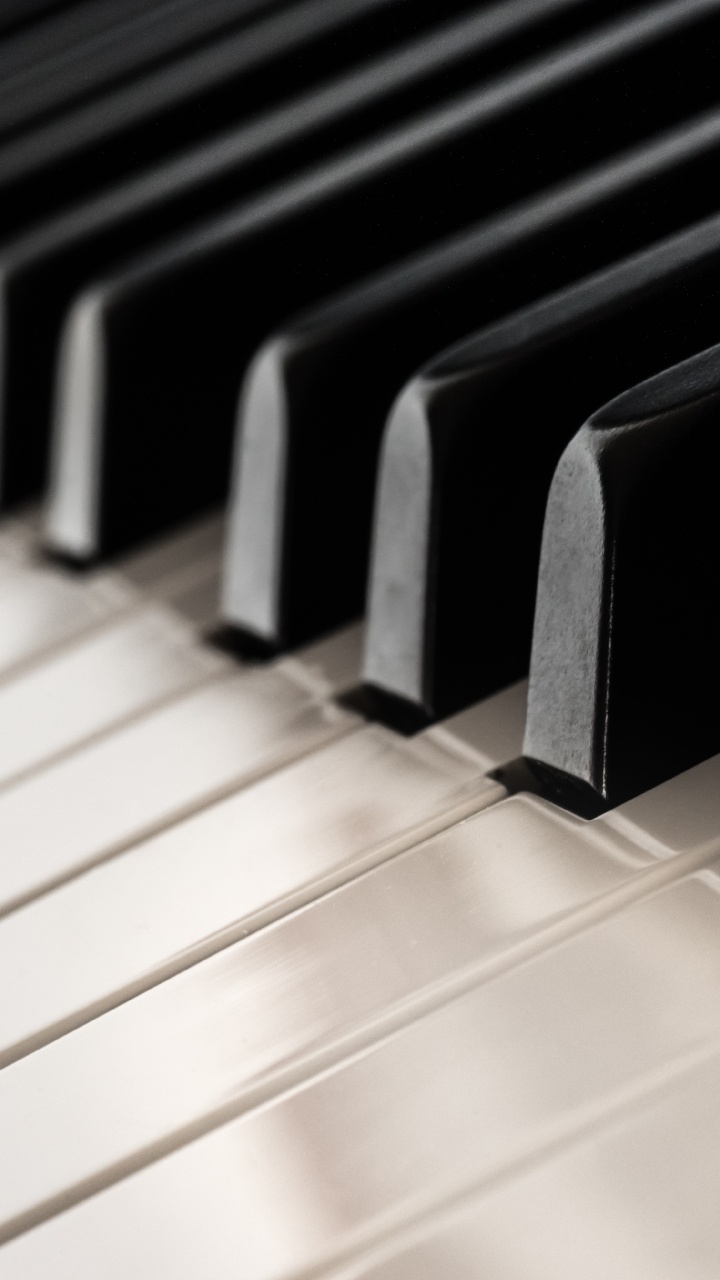 Piano, Keyboard, Violin, Musical Keyboard, Musical Instrument. Wallpaper in 720x1280 Resolution