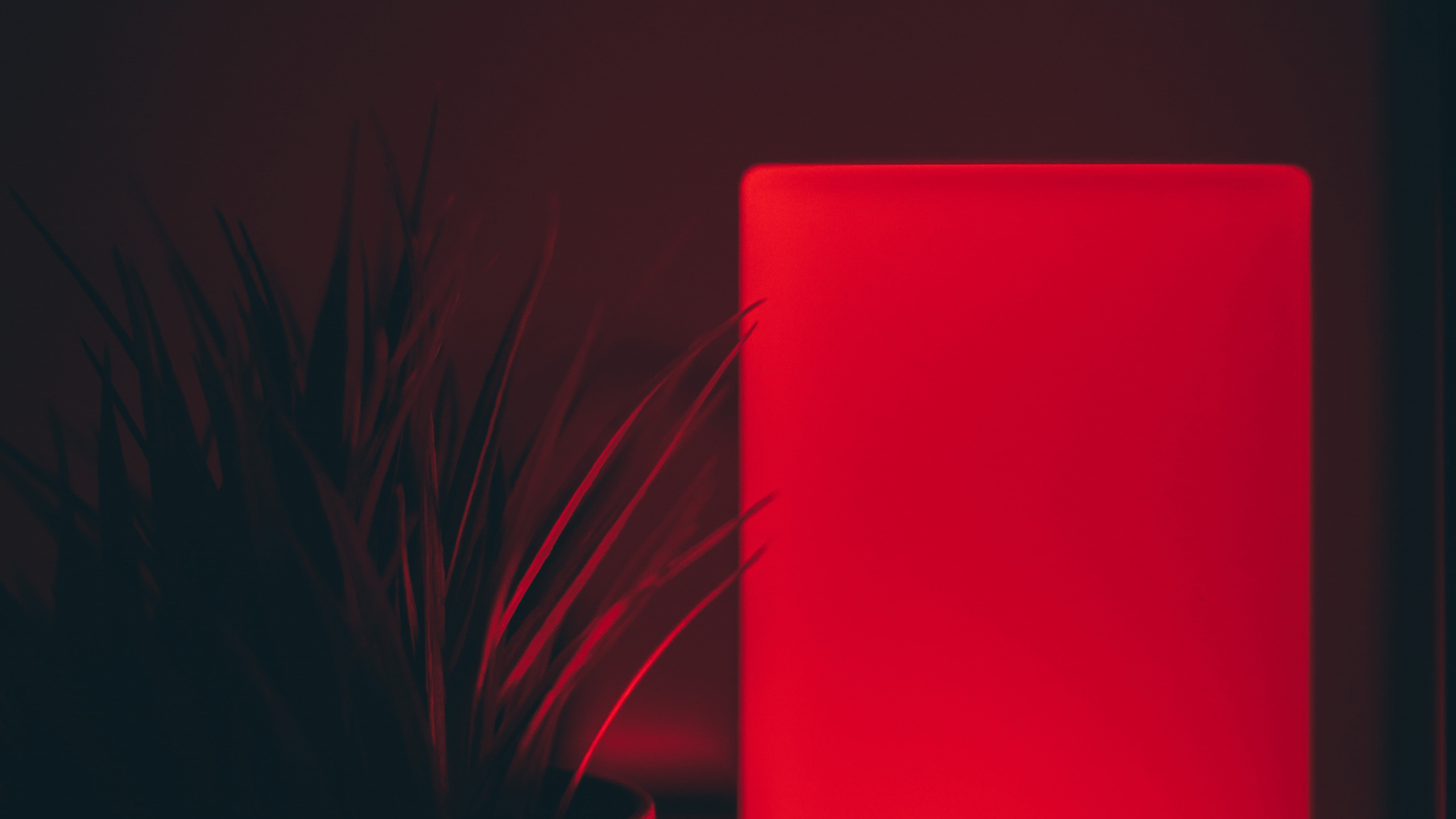 Dispositivo Rectangular Rojo Sobre Superficie Negra. Wallpaper in 2560x1440 Resolution