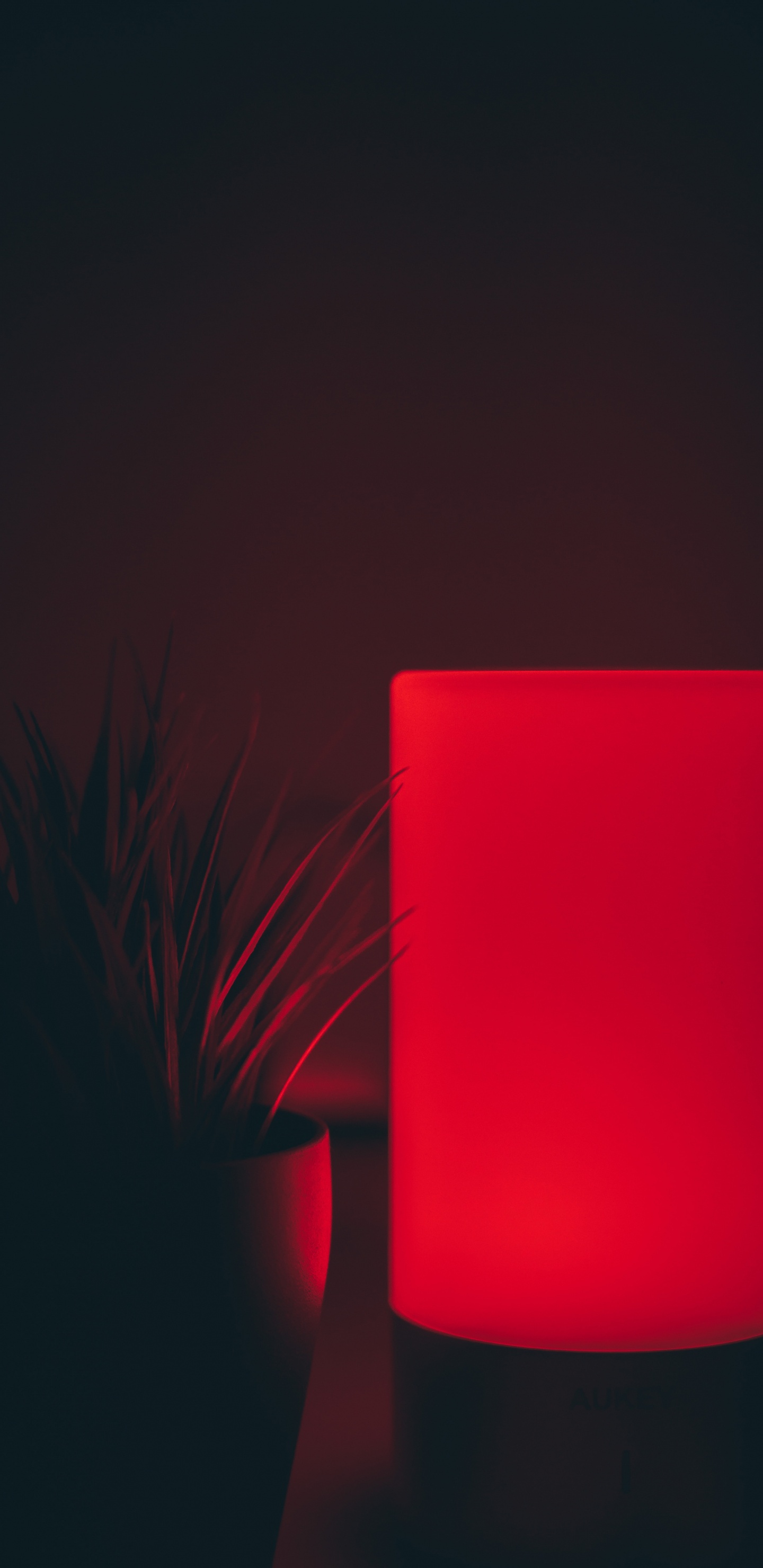 光, 红色的, 房间, 料酒店, 品红色 壁纸 1440x2960 允许