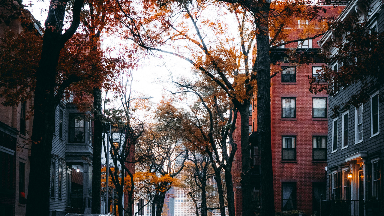 Rue, Bâtiment, Fenêtre, L'éclairage Automobile, Surface de la Route. Wallpaper in 1280x720 Resolution