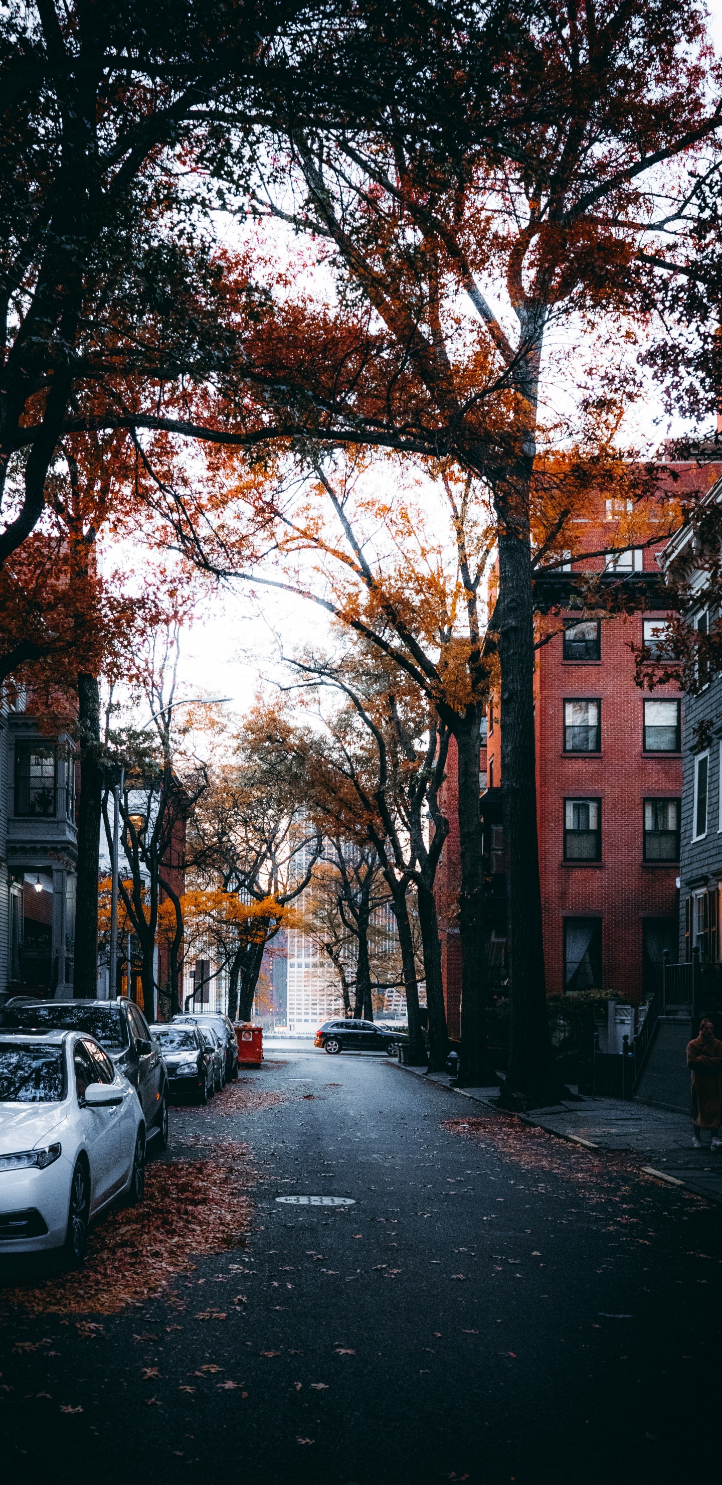 Rue, Bâtiment, Fenêtre, L'éclairage Automobile, Surface de la Route. Wallpaper in 1440x2960 Resolution