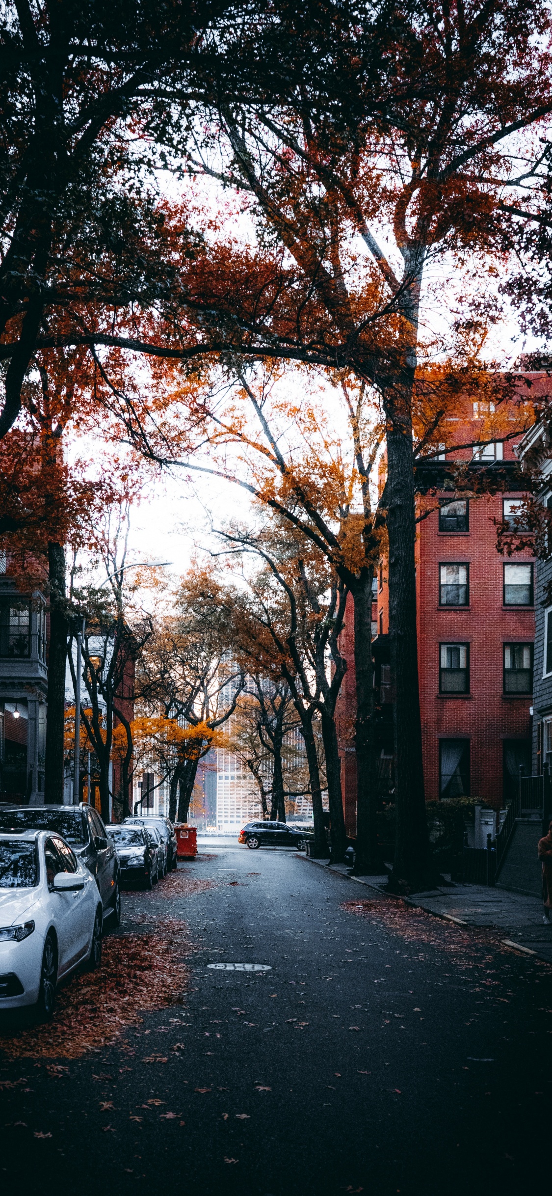 Street, Building, Window, Automotive Lighting, Road Surface. Wallpaper in 1125x2436 Resolution