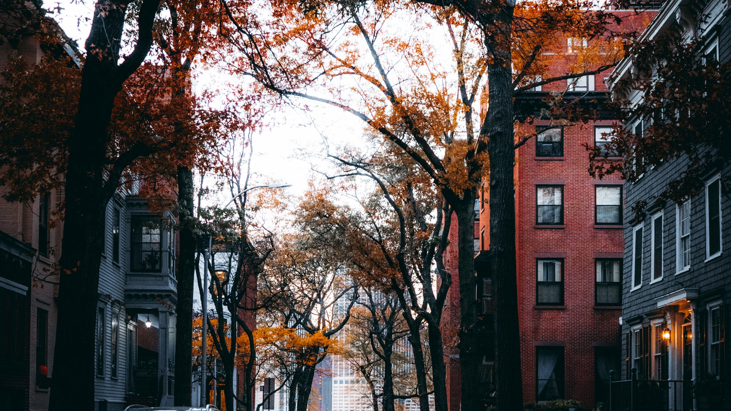 Street, Building, Window, Automotive Lighting, Road Surface. Wallpaper in 2560x1440 Resolution