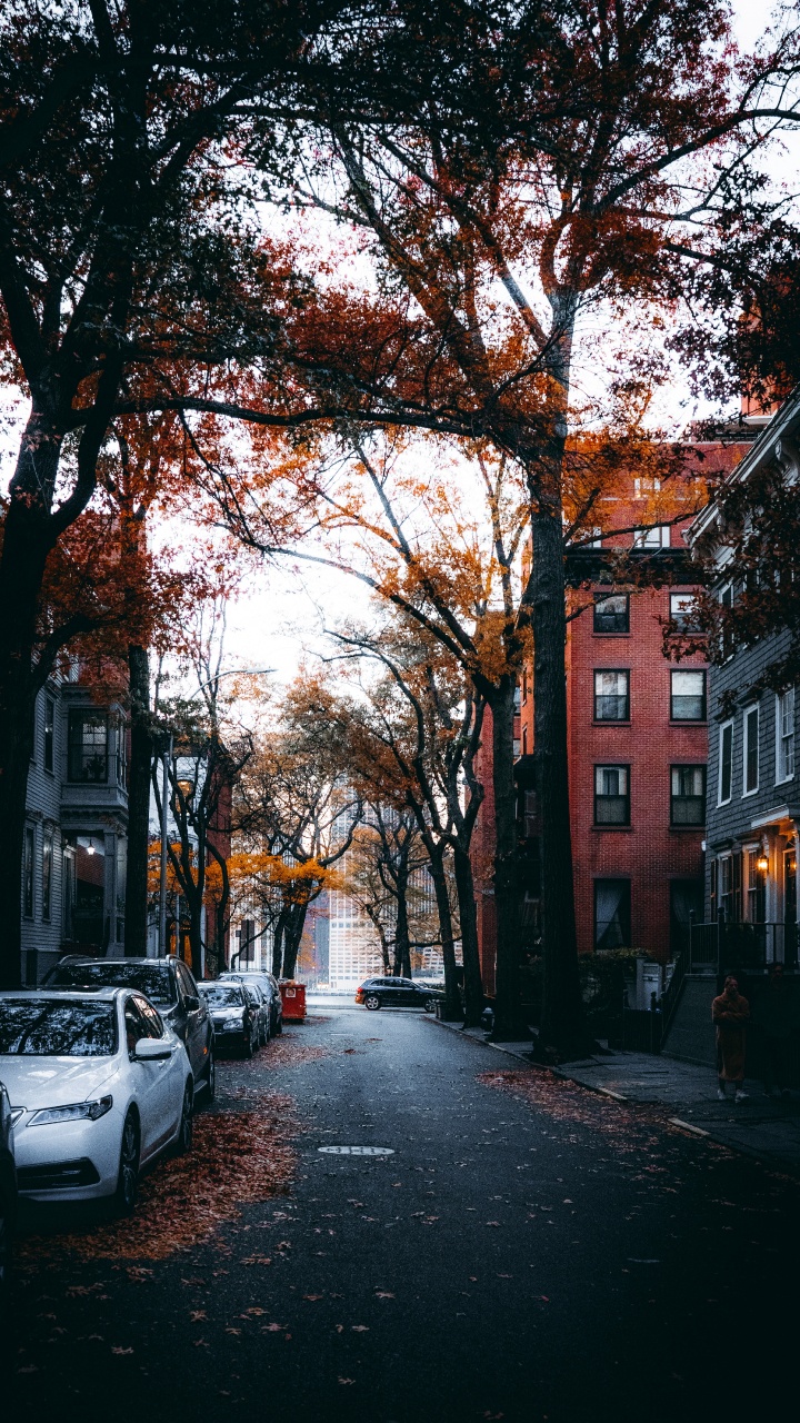 Street, Gebäude, Fenster, Automotive Lighting, Fahrbahn. Wallpaper in 720x1280 Resolution