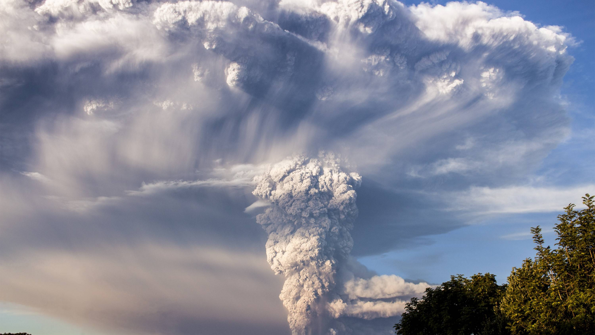 Arbres Verts Sous Des Nuages Blancs et un Ciel Bleu Pendant la Journée. Wallpaper in 1920x1080 Resolution