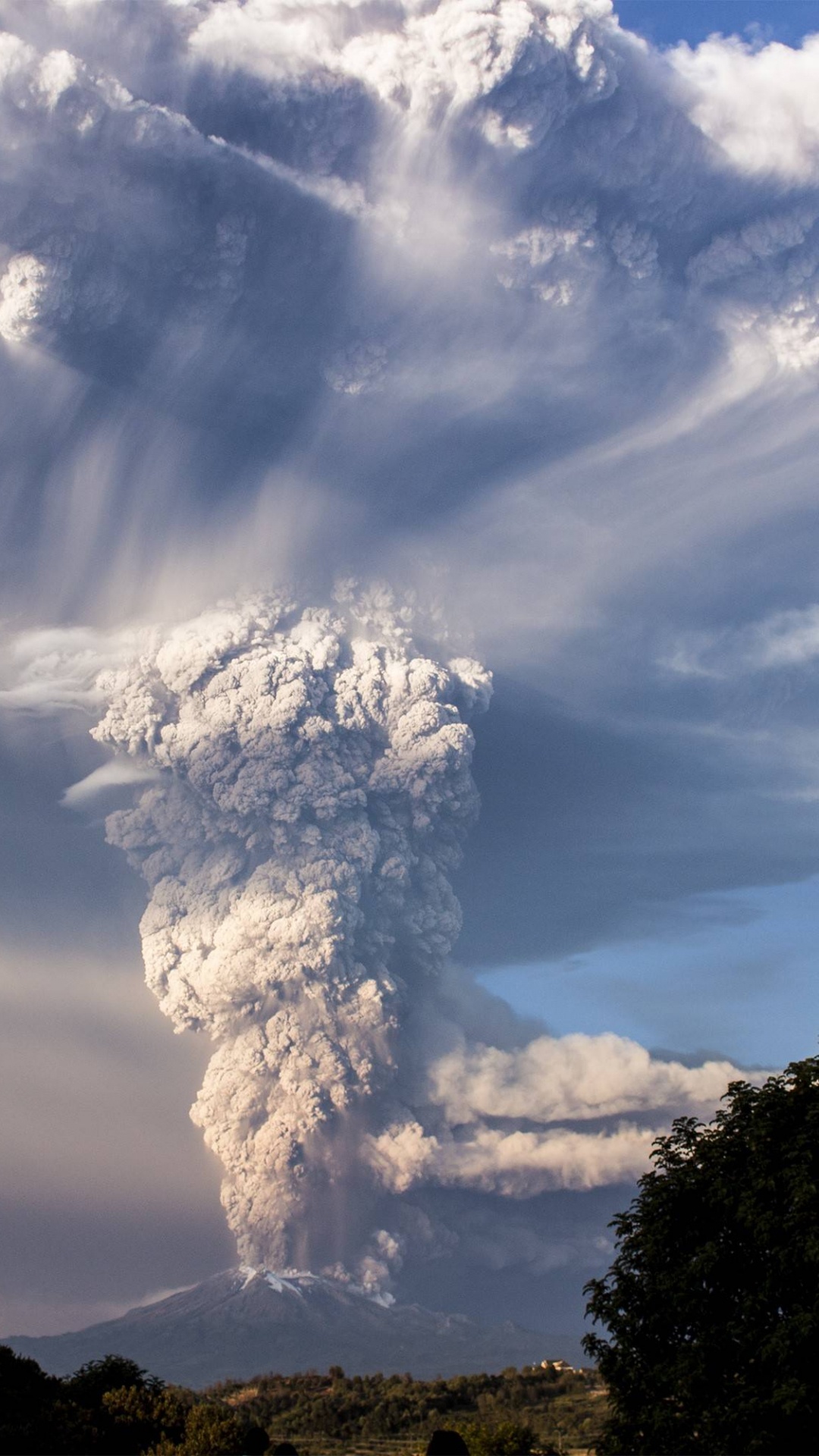 Árboles Verdes Bajo Nubes Blancas y Cielo Azul Durante el Día. Wallpaper in 1080x1920 Resolution