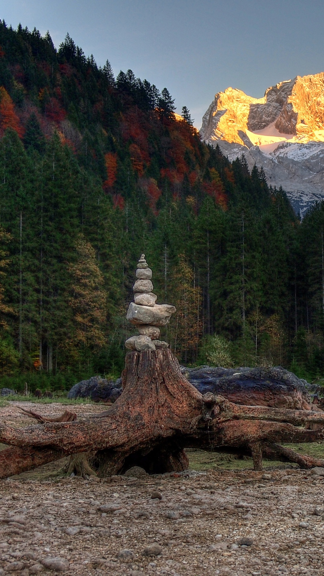 Brauner Baumstamm Auf Braunem Boden in Der Nähe Von Grünen Und Braunen Bäumen Und Bergen Tagsüber. Wallpaper in 1080x1920 Resolution