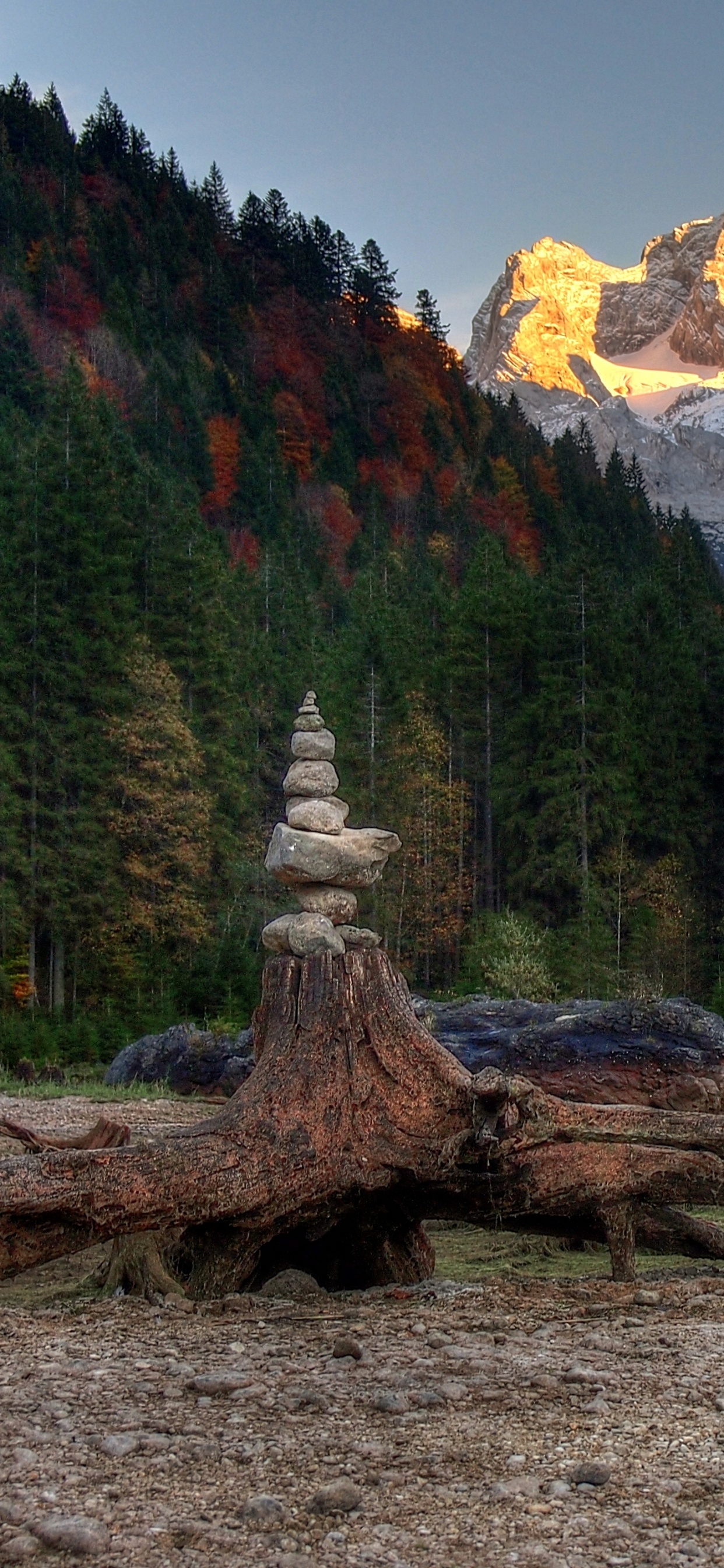 Brauner Baumstamm Auf Braunem Boden in Der Nähe Von Grünen Und Braunen Bäumen Und Bergen Tagsüber. Wallpaper in 1242x2688 Resolution