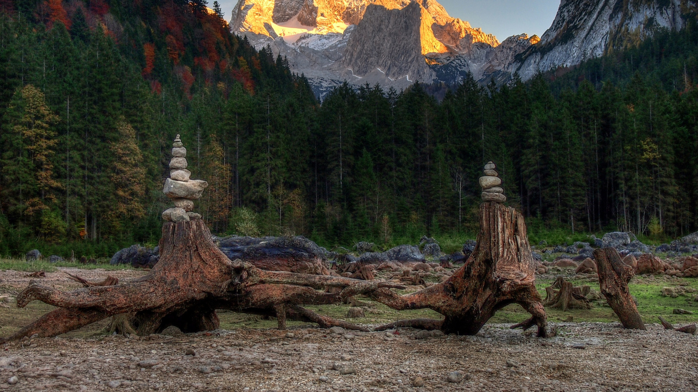 Brown Tree Log on Brown Soil Near Green and Brown Trees and Mountain During Daytime. Wallpaper in 1366x768 Resolution