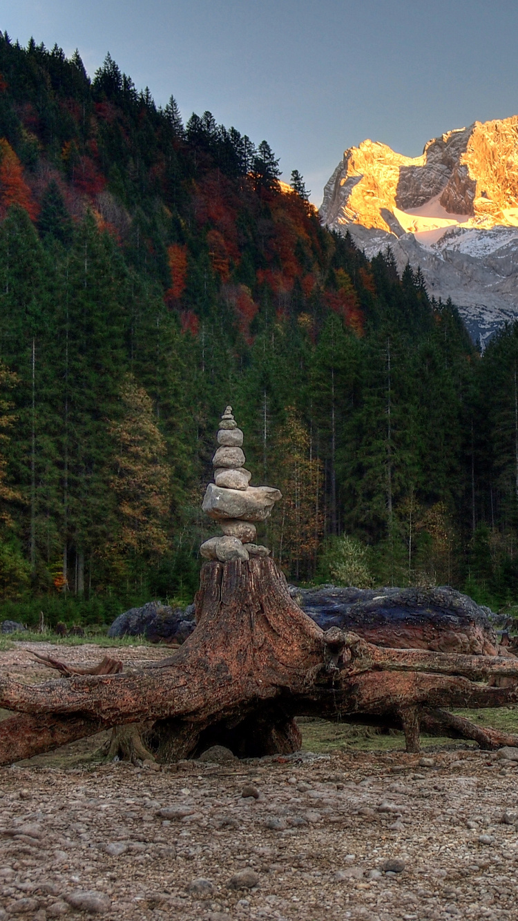 Brown Tree Log on Brown Soil Near Green and Brown Trees and Mountain During Daytime. Wallpaper in 750x1334 Resolution