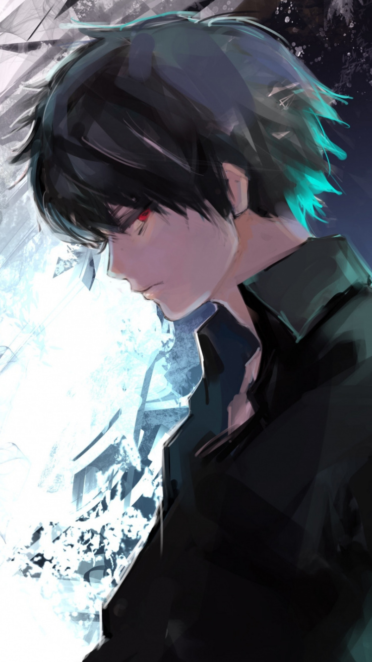 Personaje de Anime Masculino de Pelo Blanco. Wallpaper in 750x1334 Resolution