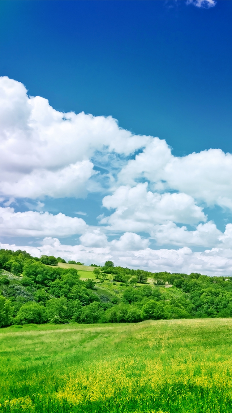 Champ D'herbe Verte Sous Ciel Bleu et Nuages Blancs Pendant la Journée. Wallpaper in 750x1334 Resolution