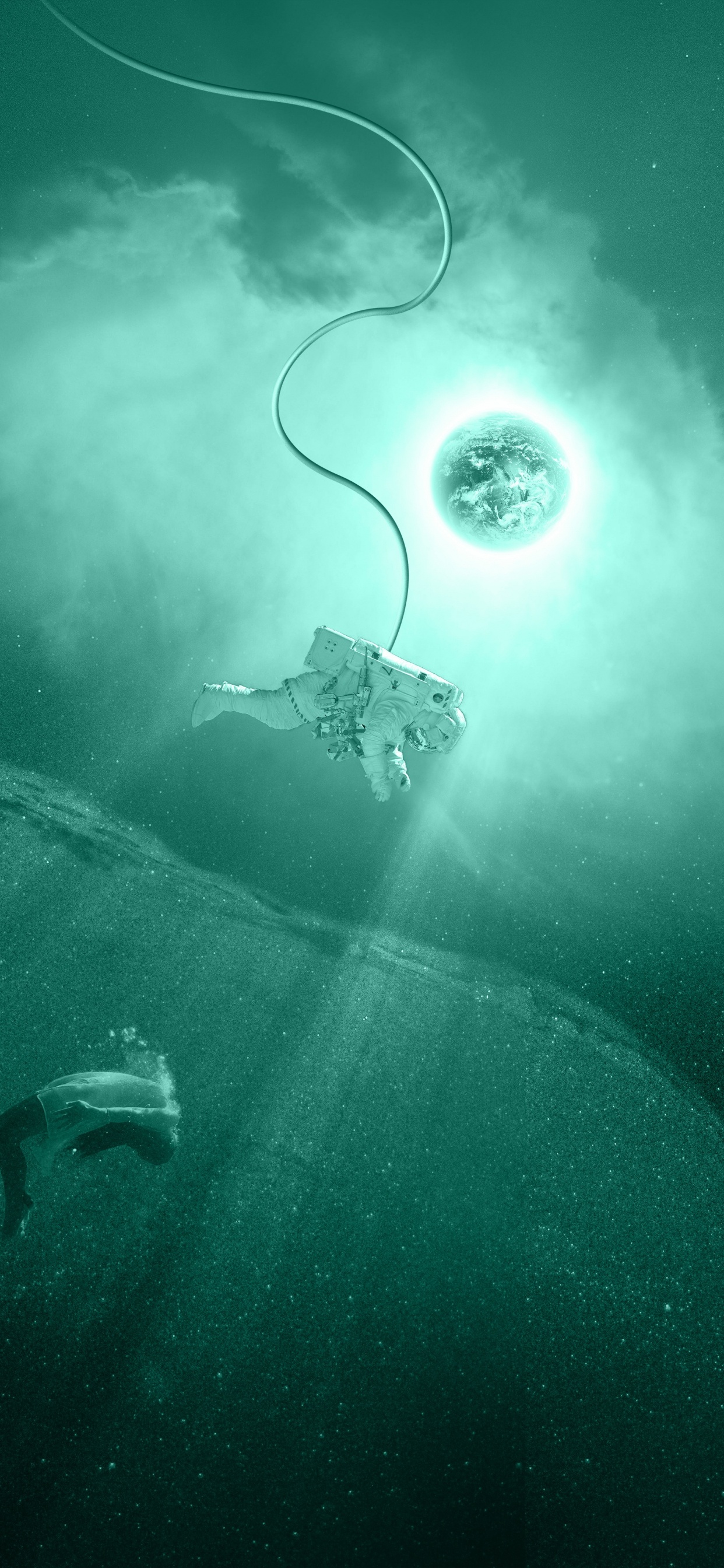 Cisne Blanco en el Cuerpo de Agua. Wallpaper in 1242x2688 Resolution