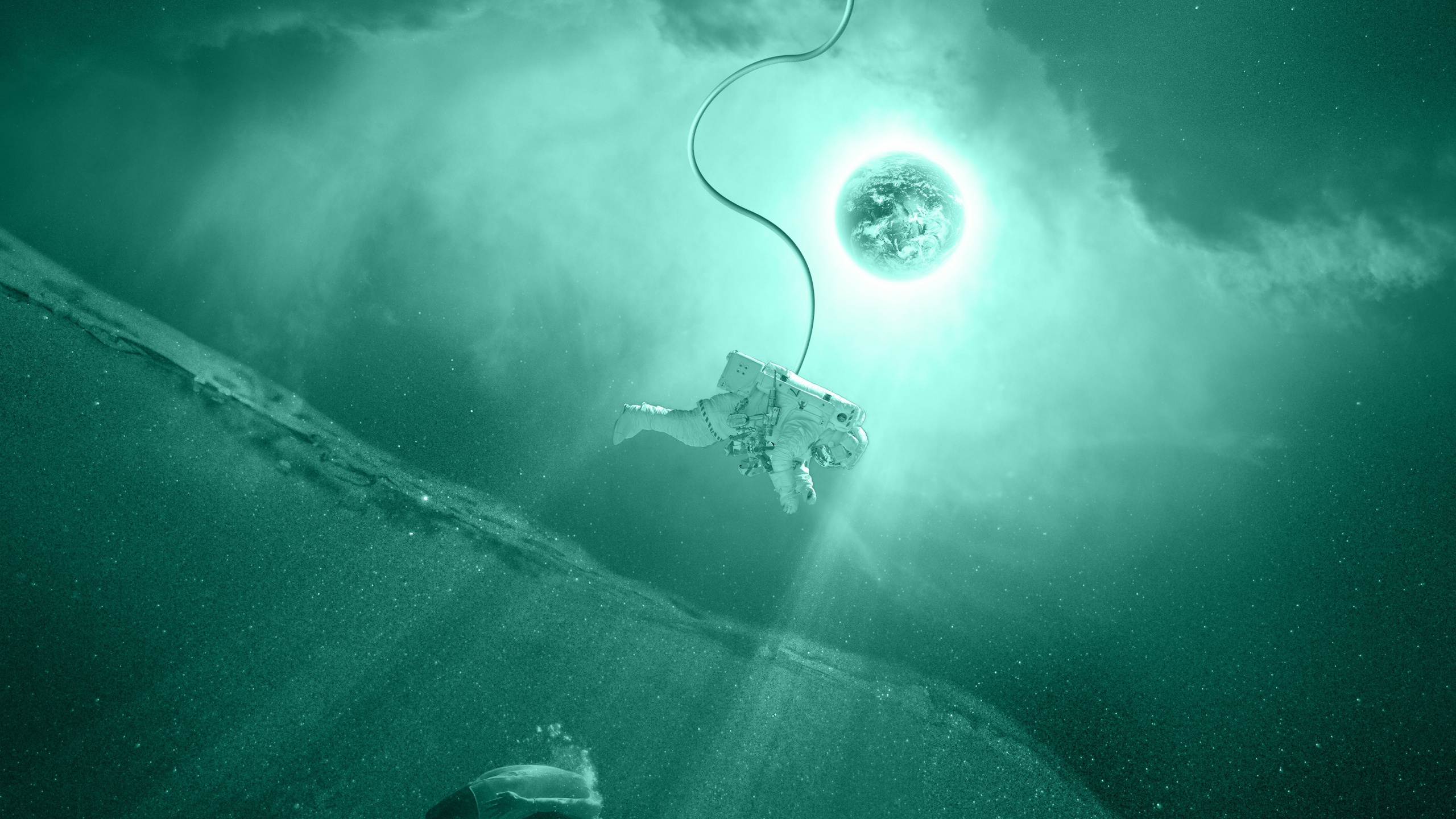 Cygne Blanc Sur Plan D'eau. Wallpaper in 2560x1440 Resolution