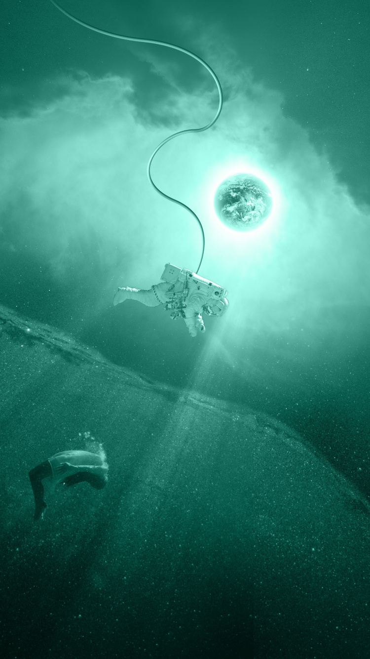 Weißer Schwan Auf Gewässer. Wallpaper in 750x1334 Resolution