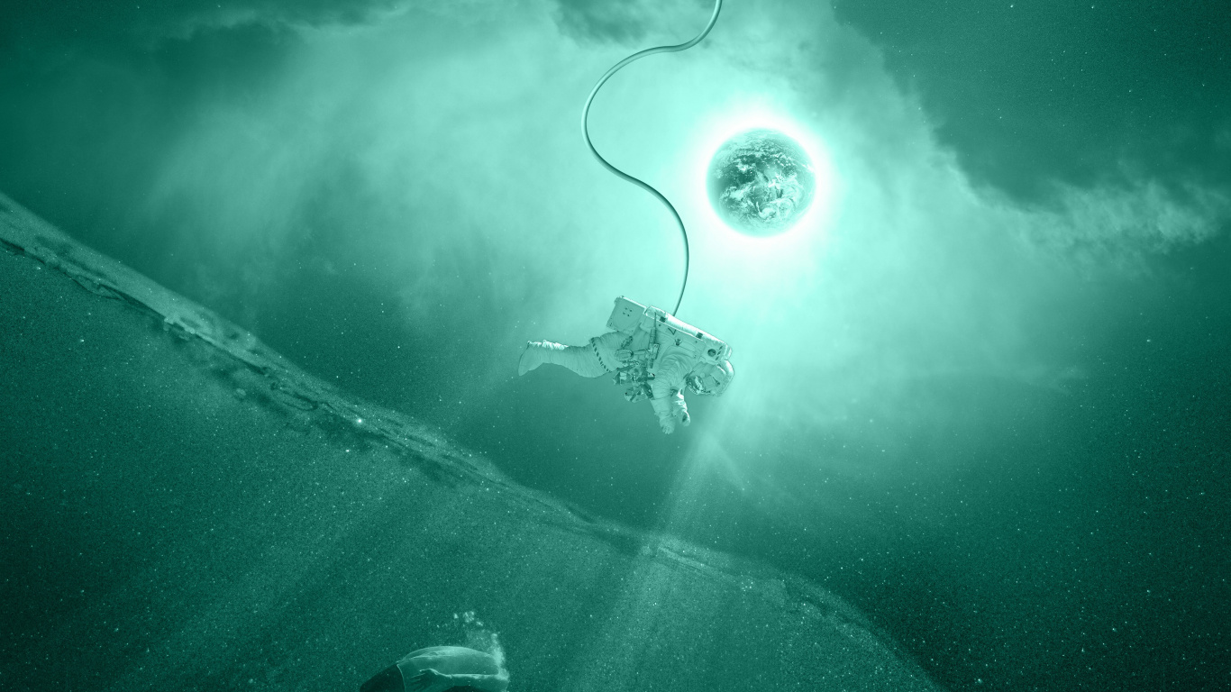 White Swan on Body of Water. Wallpaper in 1366x768 Resolution