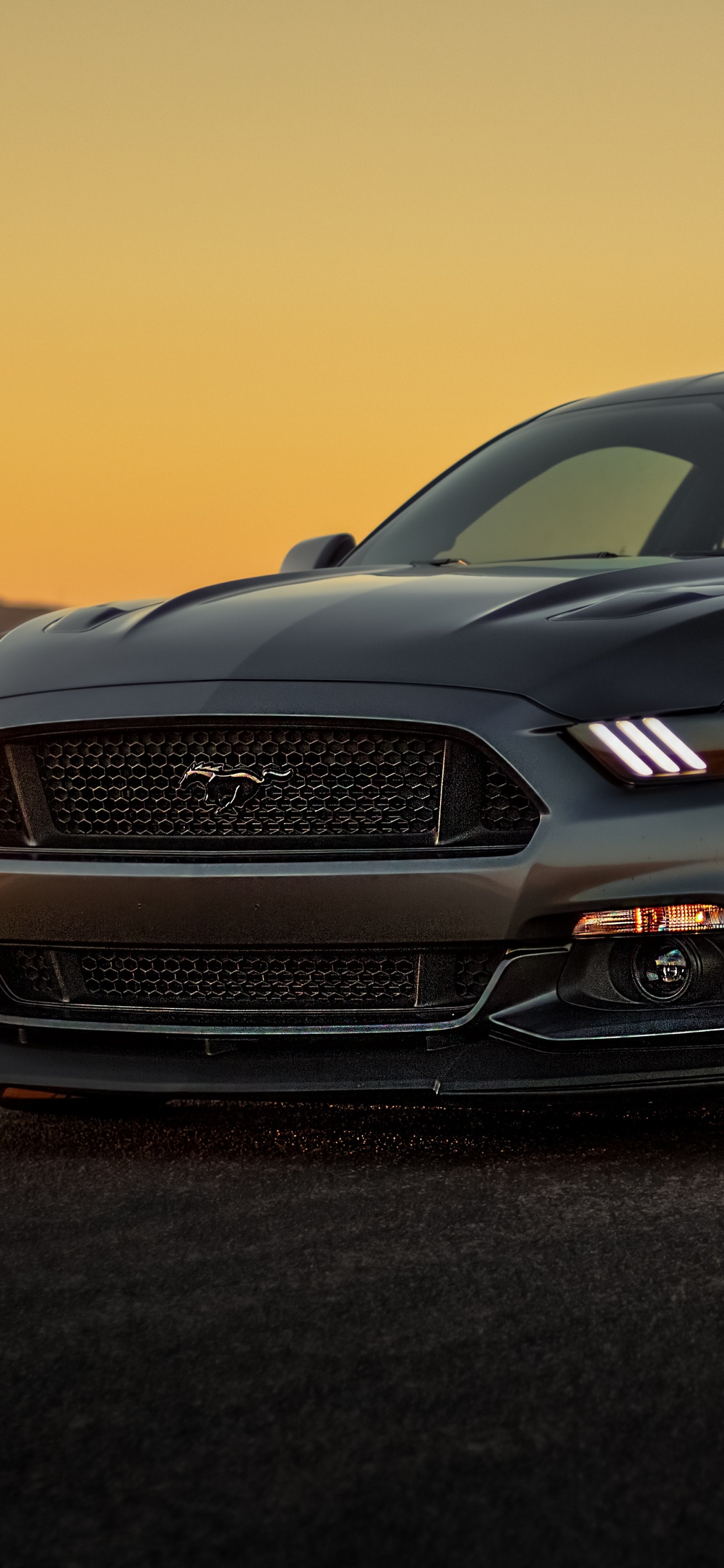 谢尔比野马, 福特, 福特gt, 轮胎, 汽车轮胎 壁纸 1242x2688 允许