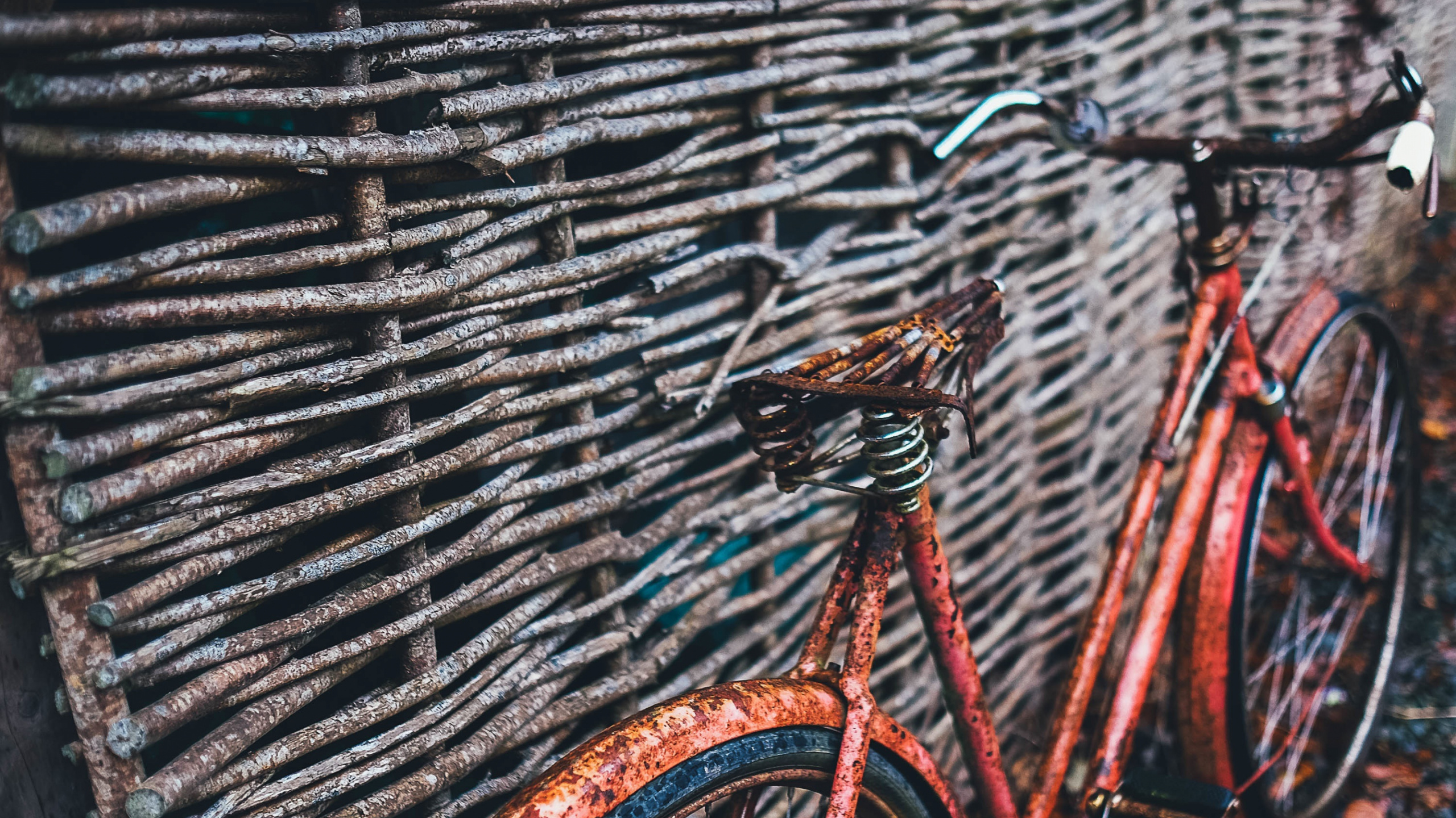 Vélo Orange Sur Clôture en Métal Noir. Wallpaper in 2560x1440 Resolution