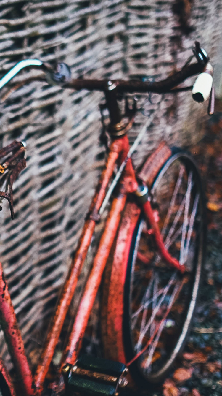 Orange Bicycle on Black Metal Fence. Wallpaper in 750x1334 Resolution