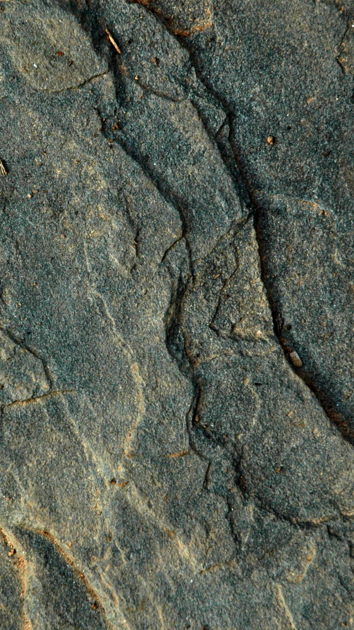 Brown and Black Insect on Gray Sand. Wallpaper in 720x1280 Resolution