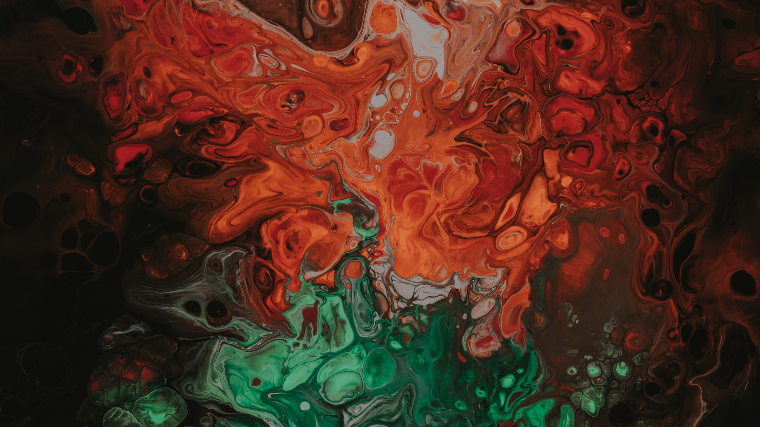 Peinture Abstraite Rouge Vert et Noir. Wallpaper in 2560x1440 Resolution