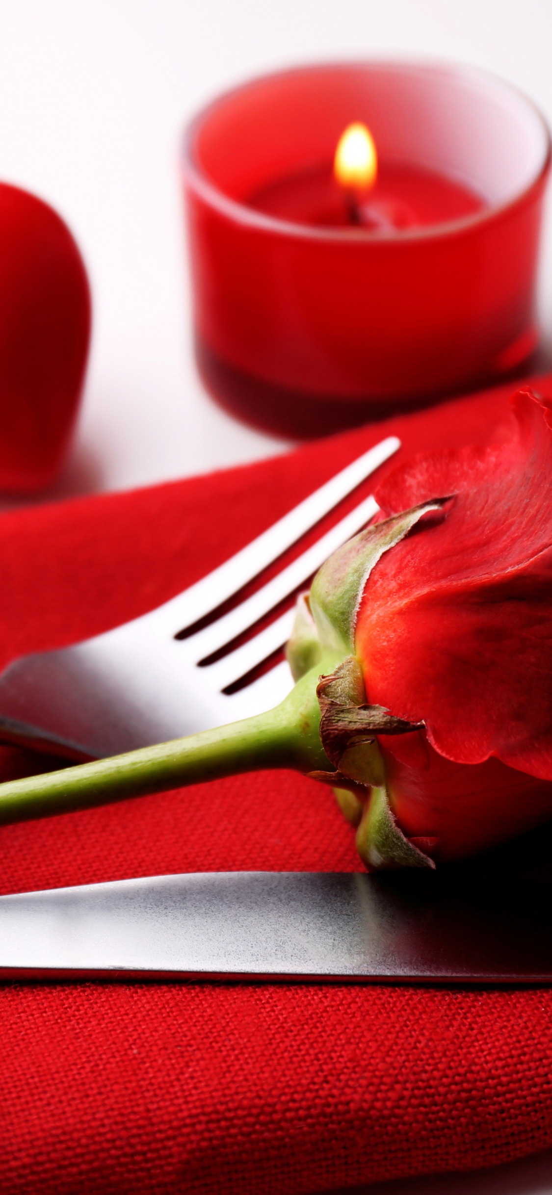 Valentines Tag, Blütenblatt, Rose, Liebe, Romantik. Wallpaper in 1125x2436 Resolution