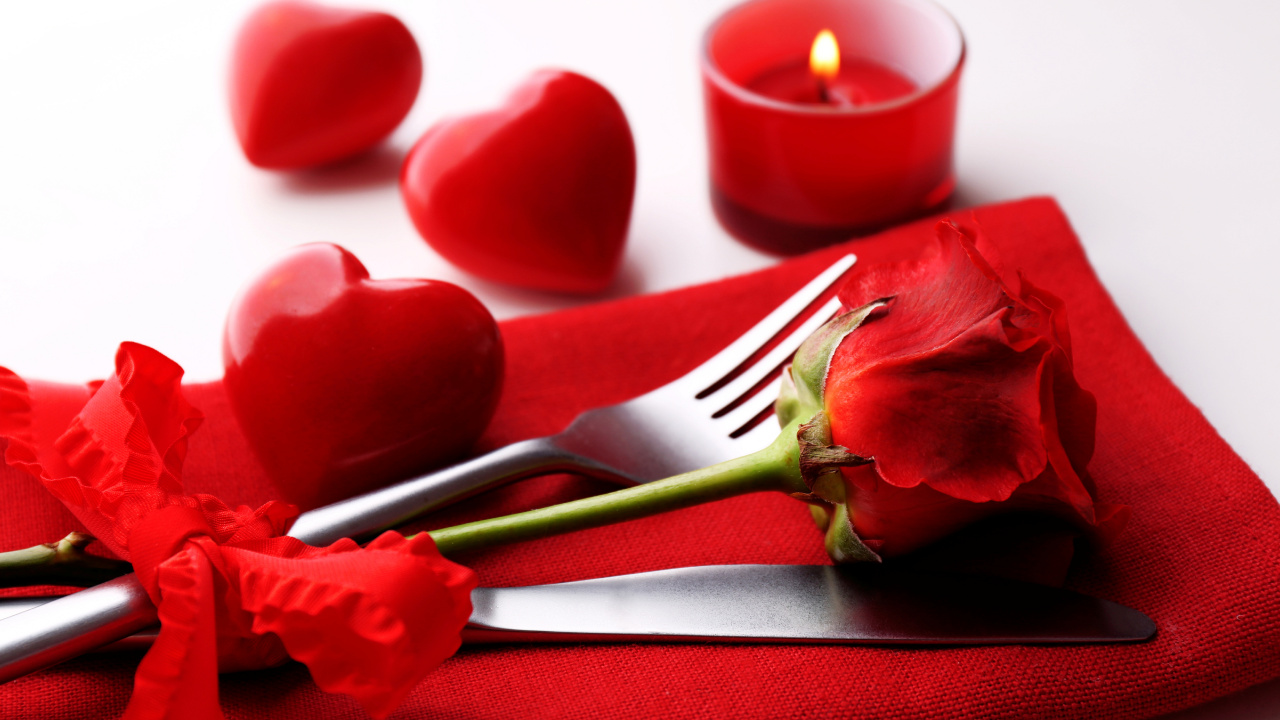 Valentines Tag, Blütenblatt, Rose, Liebe, Romantik. Wallpaper in 1280x720 Resolution