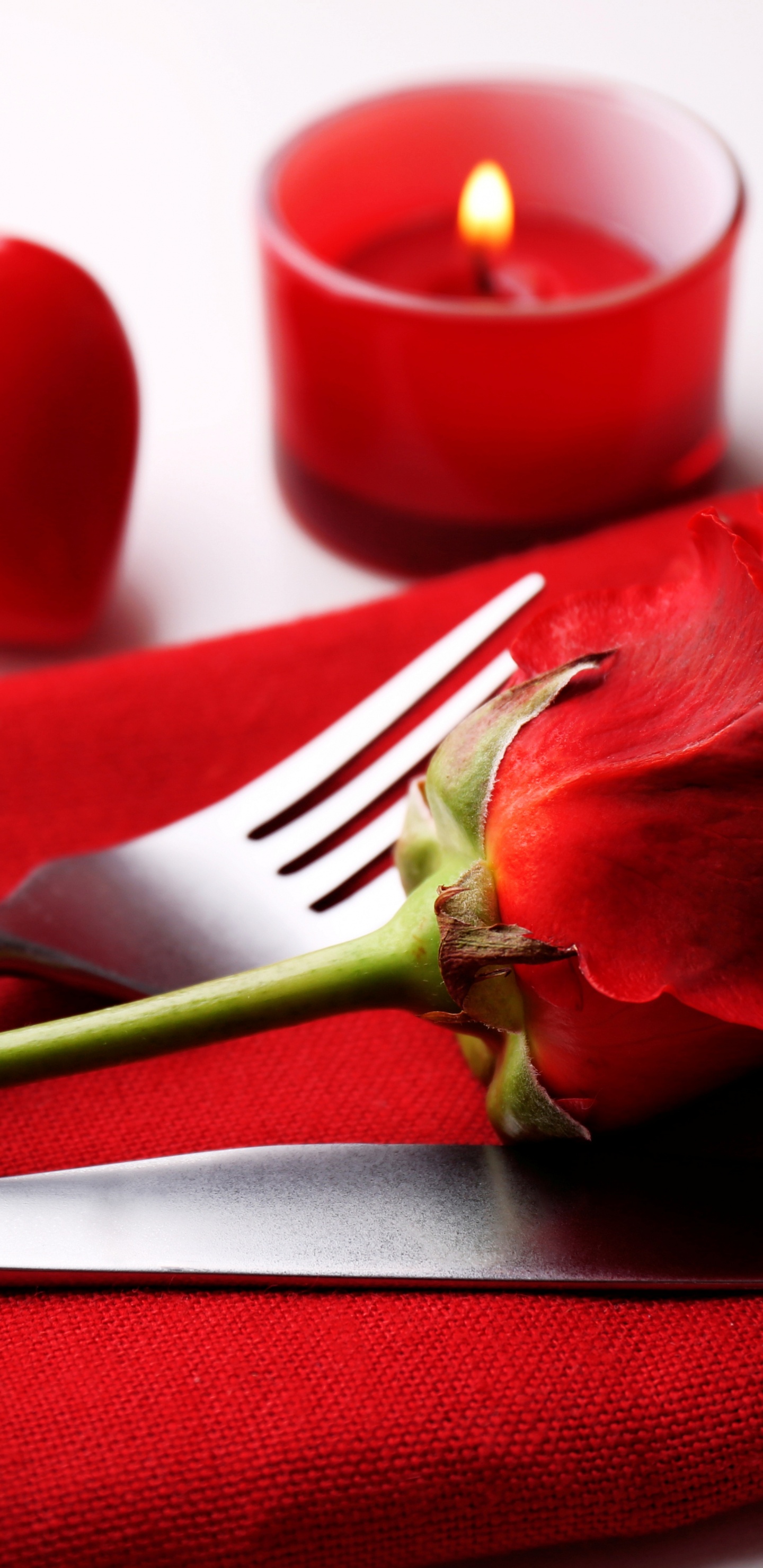 Valentines Tag, Blütenblatt, Rose, Liebe, Romantik. Wallpaper in 1440x2960 Resolution