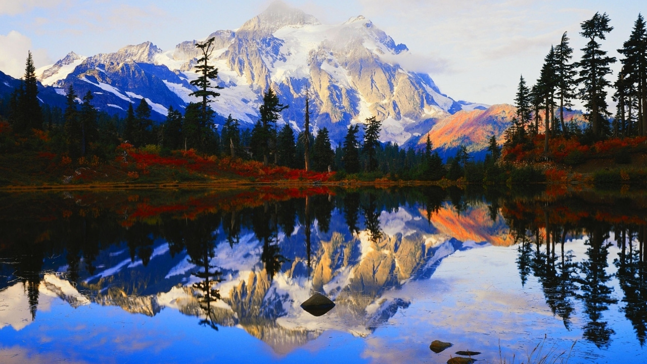 Cabelas Gift Card 20, Cabelas, Cabelas Gift Card, Gift Card, Bass Pro Shops. Wallpaper in 1280x720 Resolution