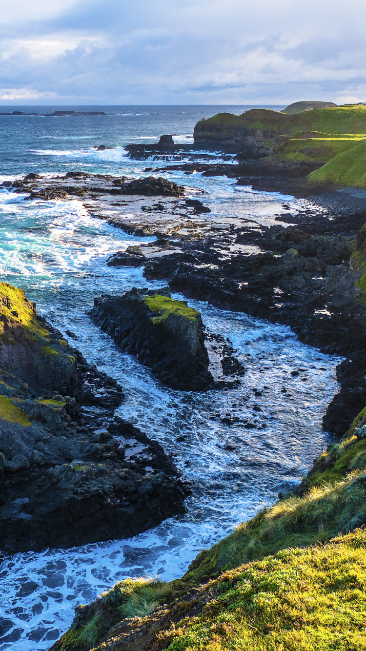 Green and Brown Rock Formation on Sea During Daytime. Wallpaper in 750x1334 Resolution