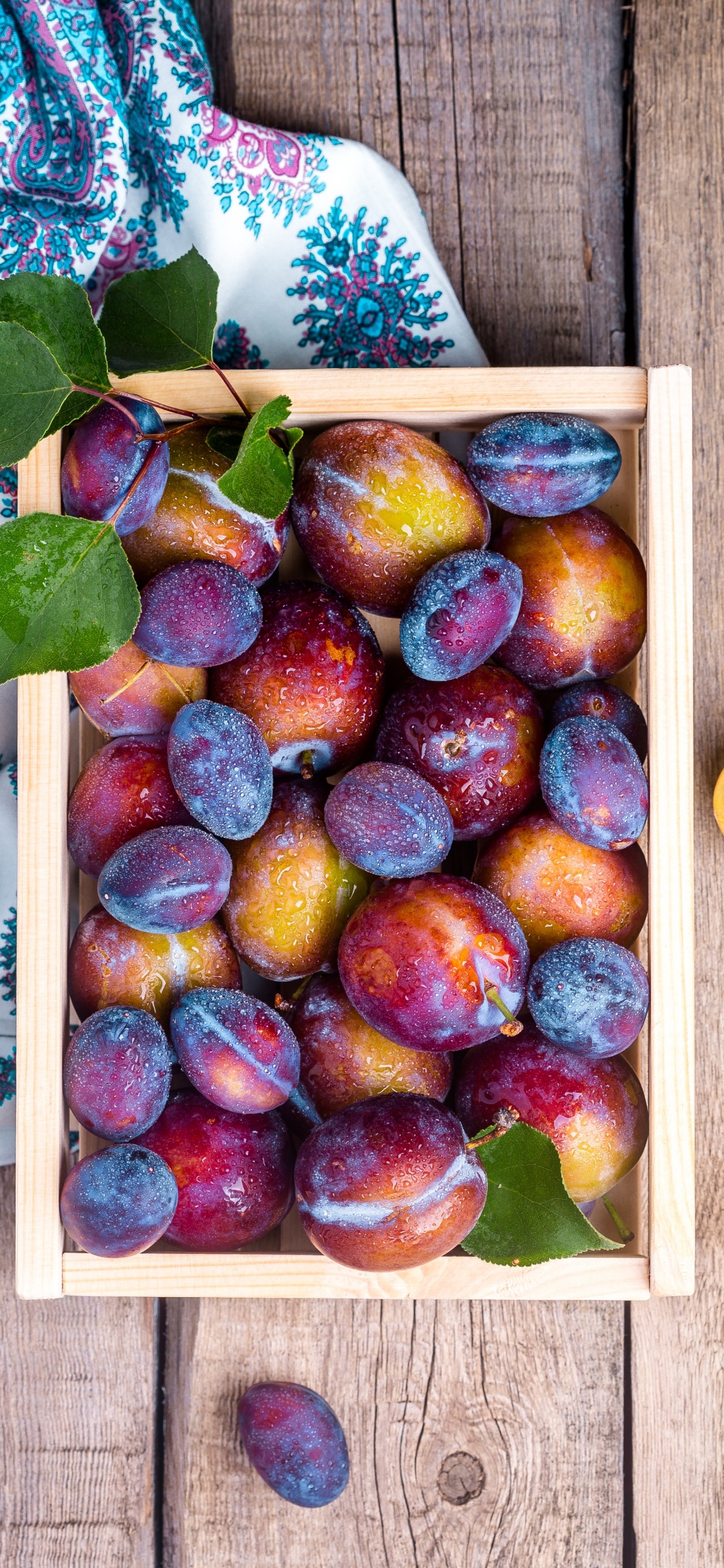 Berry, Lebensmittel, Natürliche Lebensmittel, Purpur, Holz. Wallpaper in 1125x2436 Resolution