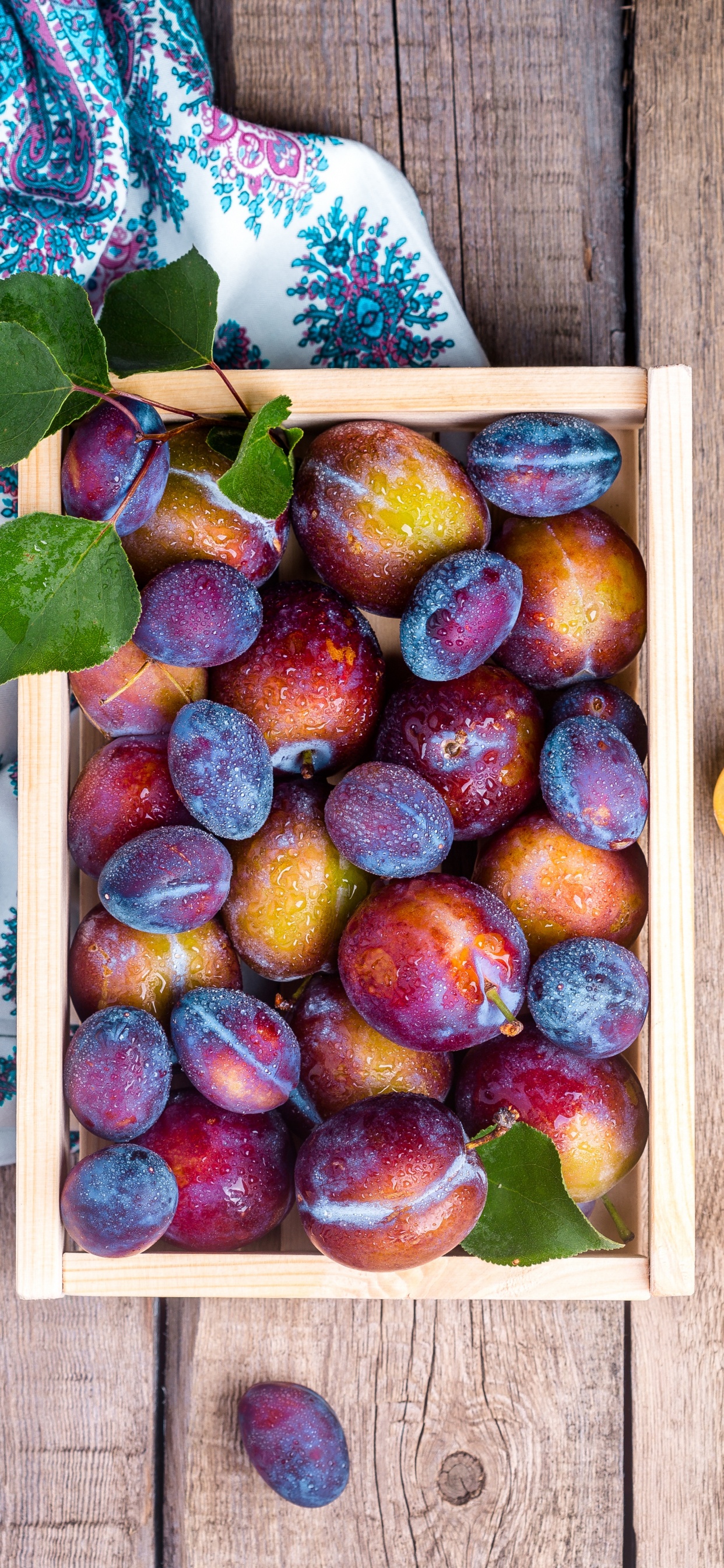 Berry, Lebensmittel, Natürliche Lebensmittel, Purpur, Holz. Wallpaper in 1242x2688 Resolution