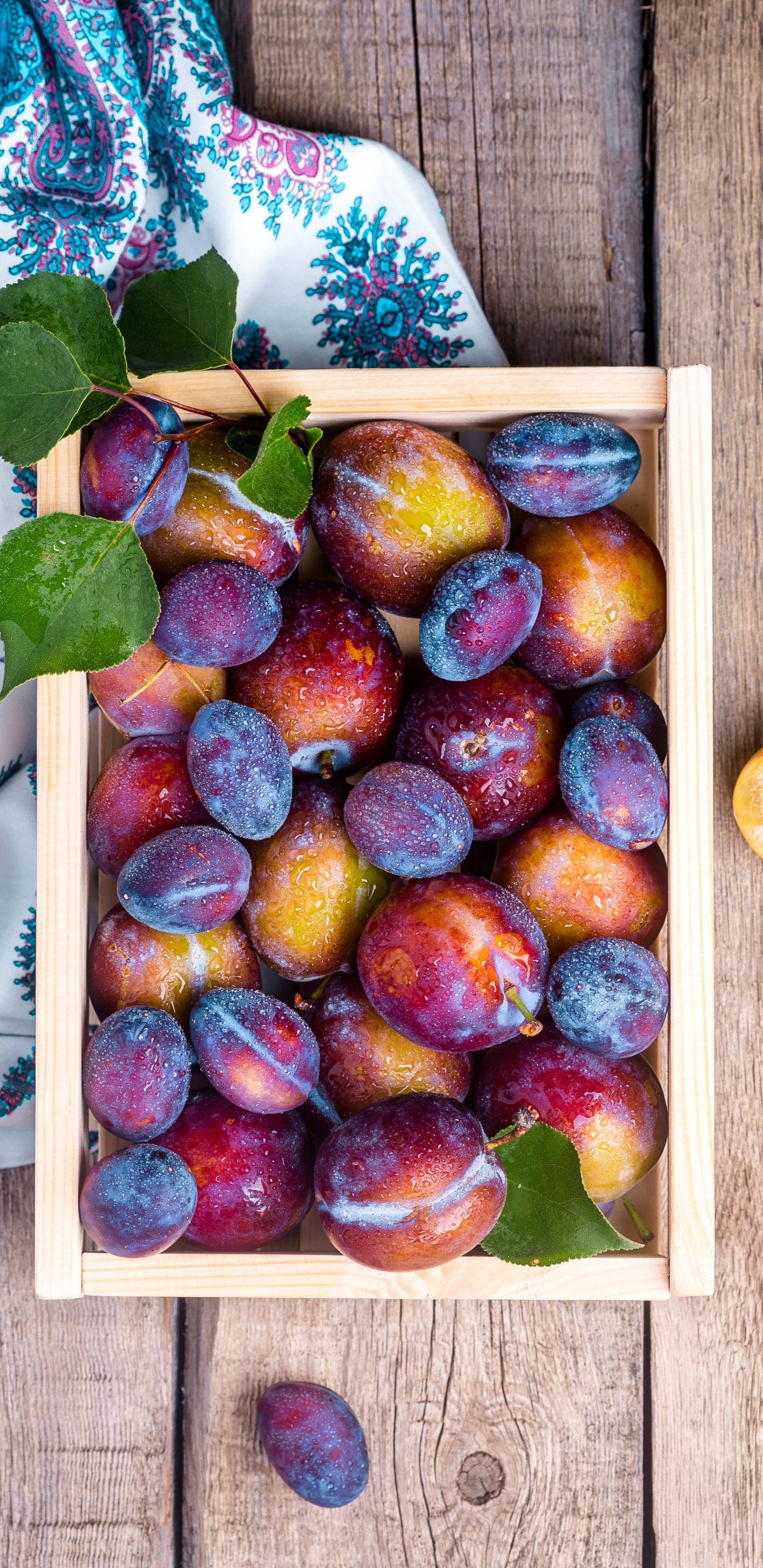 Berry, Lebensmittel, Natürliche Lebensmittel, Purpur, Holz. Wallpaper in 1440x2960 Resolution