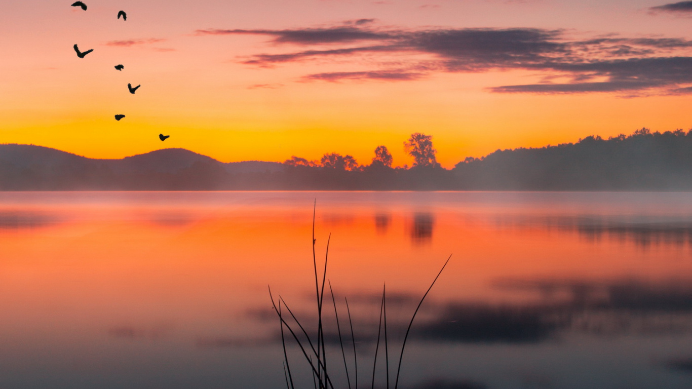 Eau, Atmosphère, L'écorégion, Oiseau, Afterglow. Wallpaper in 1366x768 Resolution