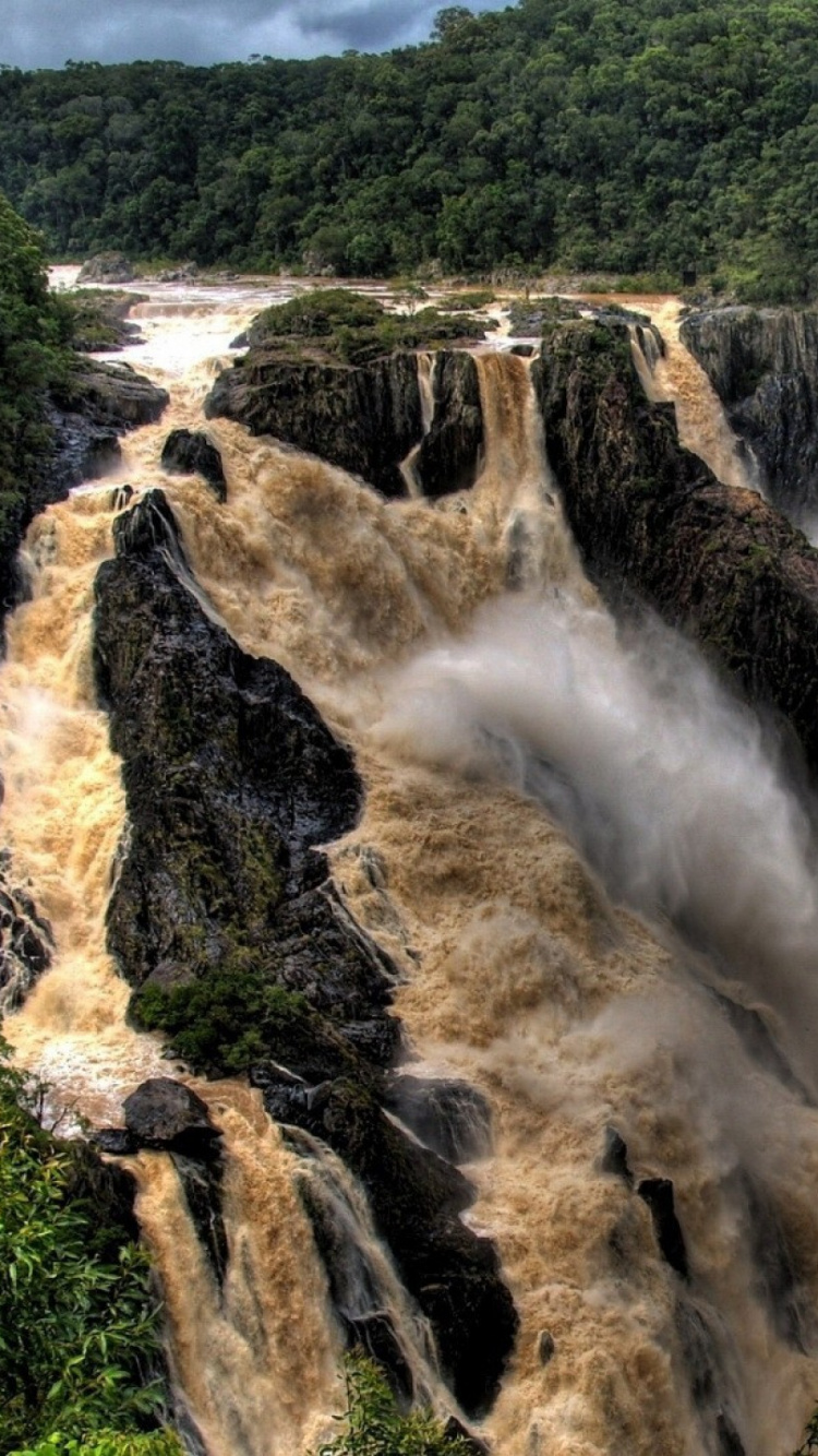 Waterfalls in The Middle of Green Trees. Wallpaper in 750x1334 Resolution