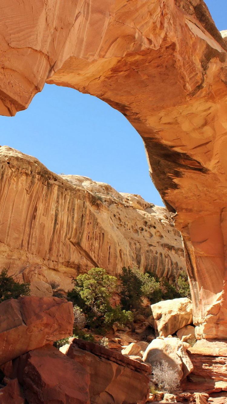 Gente Caminando Sobre la Formación de Roca Marrón Durante el Día. Wallpaper in 750x1334 Resolution