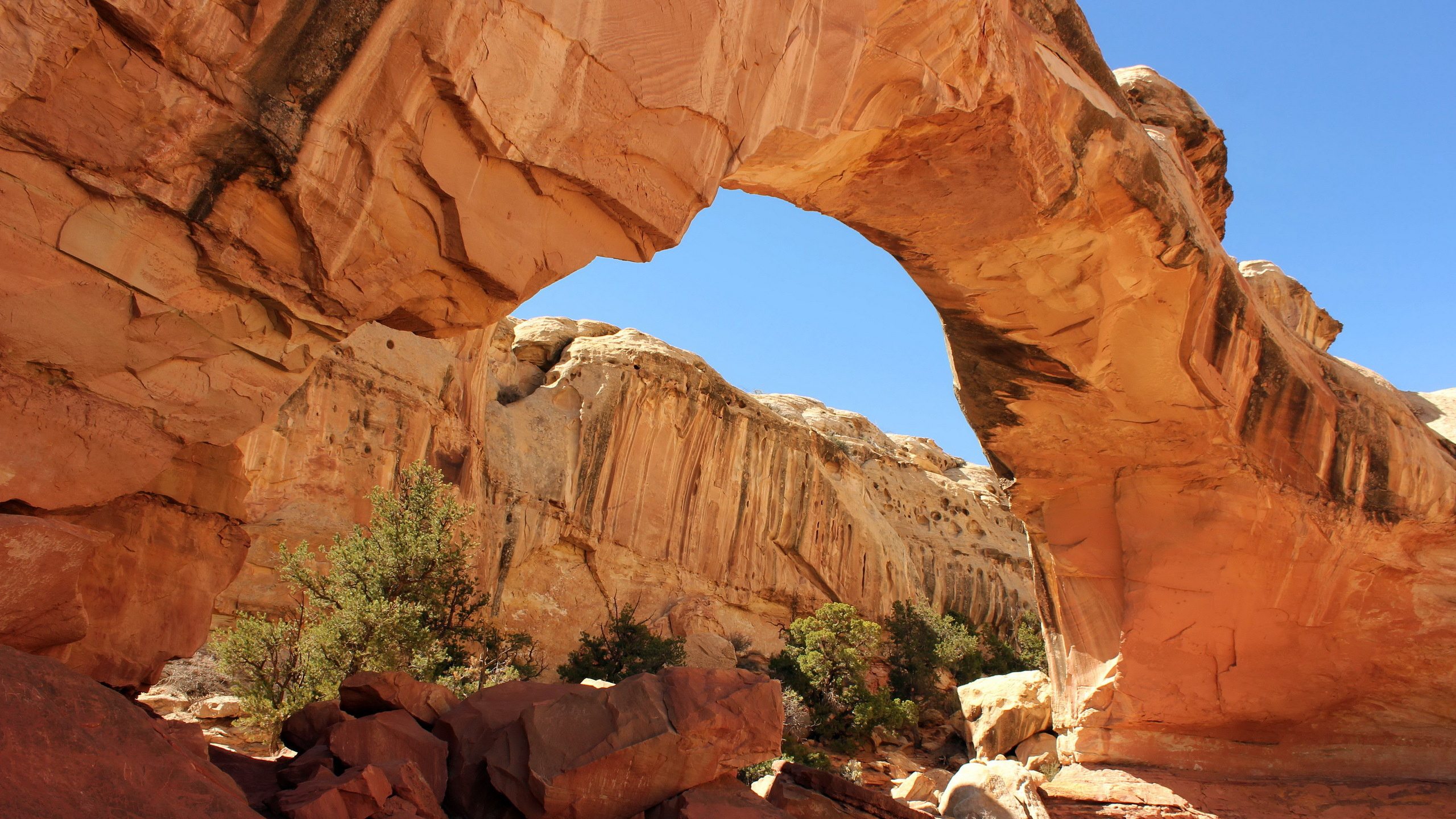 People Walking on Brown Rock Formation During Daytime. Wallpaper in 2560x1440 Resolution