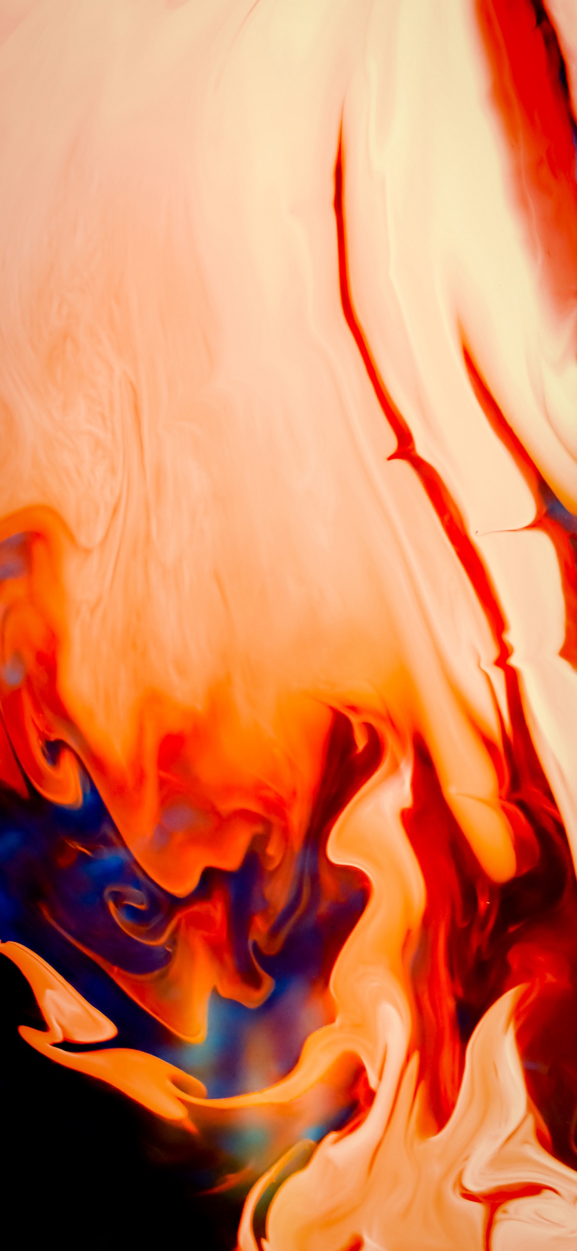 Llama, Artes Visuales, Pintura Acrílica, Arte, Cuerpo Humano. Wallpaper in 1125x2436 Resolution