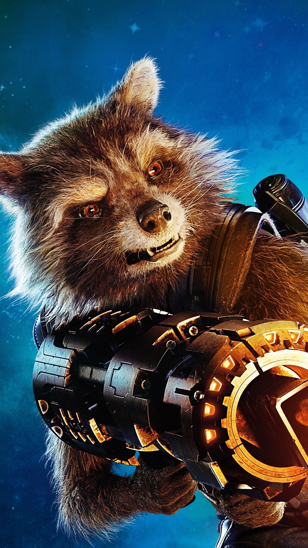 Gato de Pelo Largo Negro y Marrón. Wallpaper in 1080x1920 Resolution