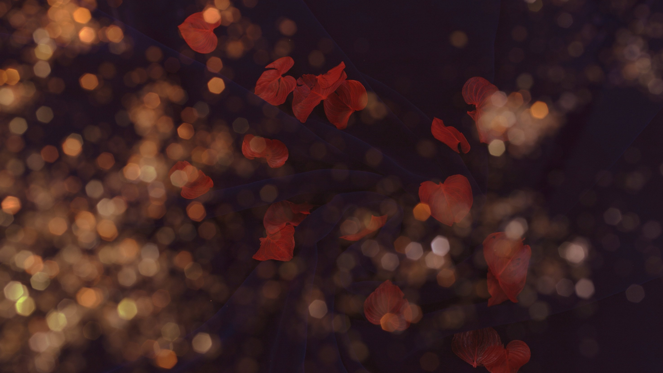 Luces Bokeh Rojas y Amarillas. Wallpaper in 2560x1440 Resolution