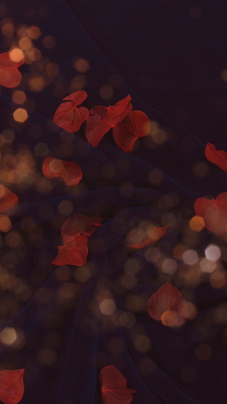 Red and Yellow Bokeh Lights. Wallpaper in 750x1334 Resolution