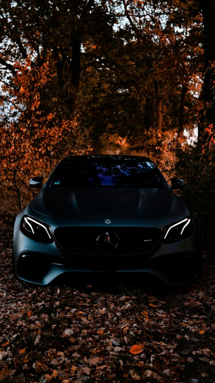 Black Bmw Car in Forest. Wallpaper in 720x1280 Resolution