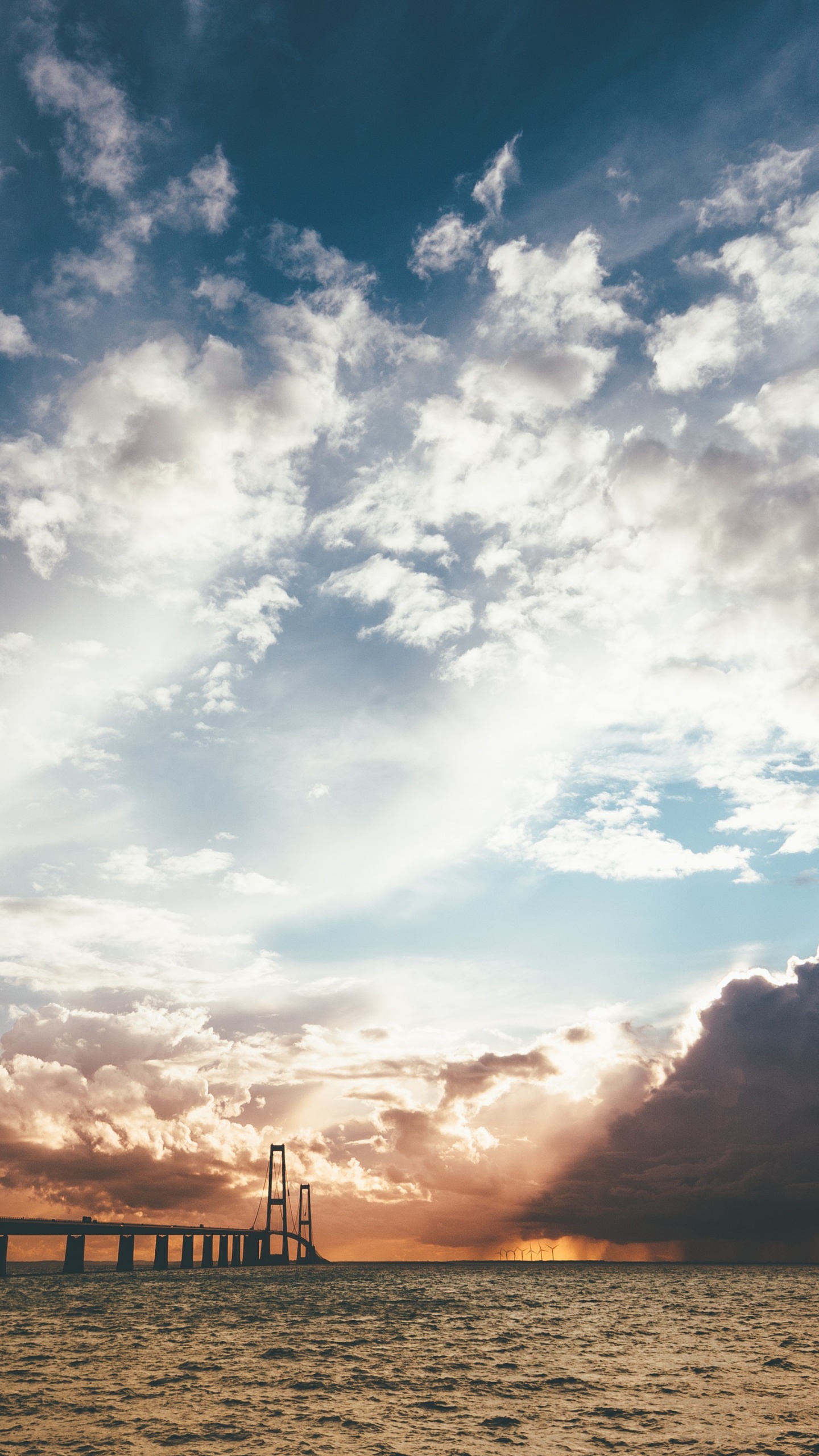 Silhouette of People on Beach During Sunset. Wallpaper in 1440x2560 Resolution