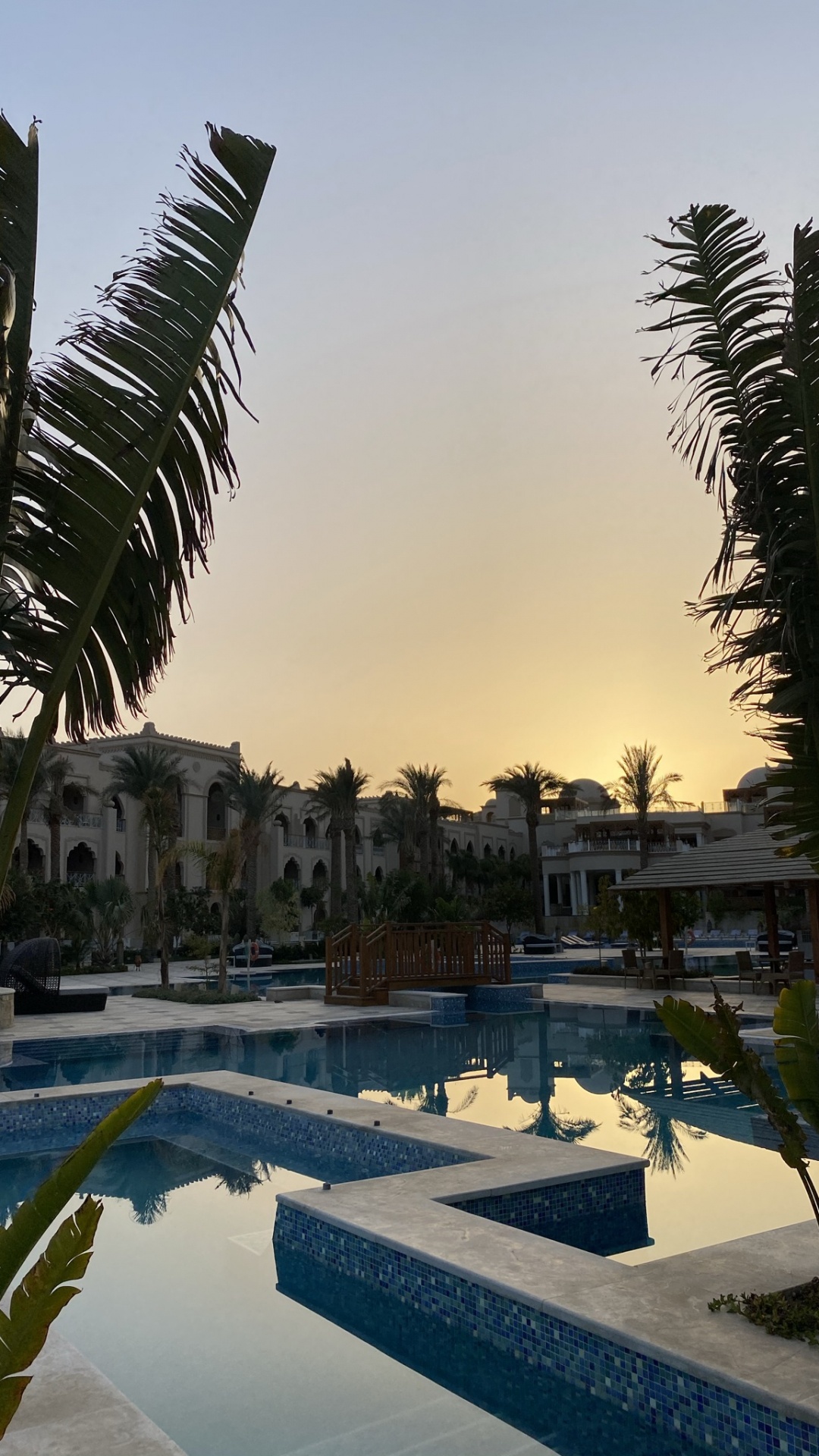 Palm Tree, Water, Plant, Property, Swimming Pool. Wallpaper in 1080x1920 Resolution