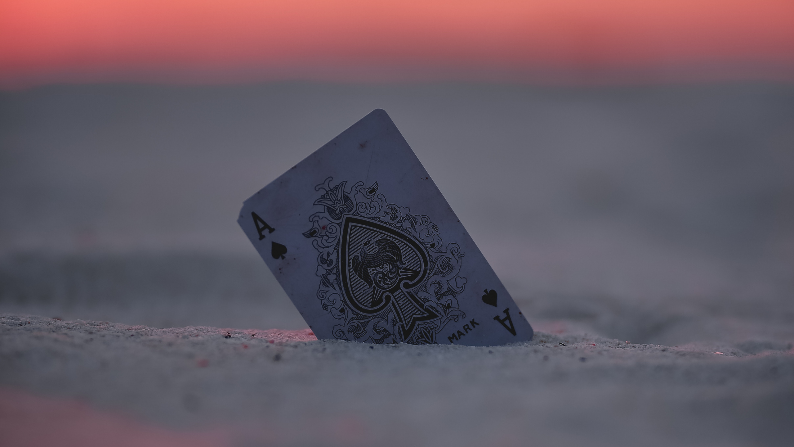 Coeur Gris et Noir Sur le Sable Gris Pendant le Coucher du Soleil. Wallpaper in 2560x1440 Resolution