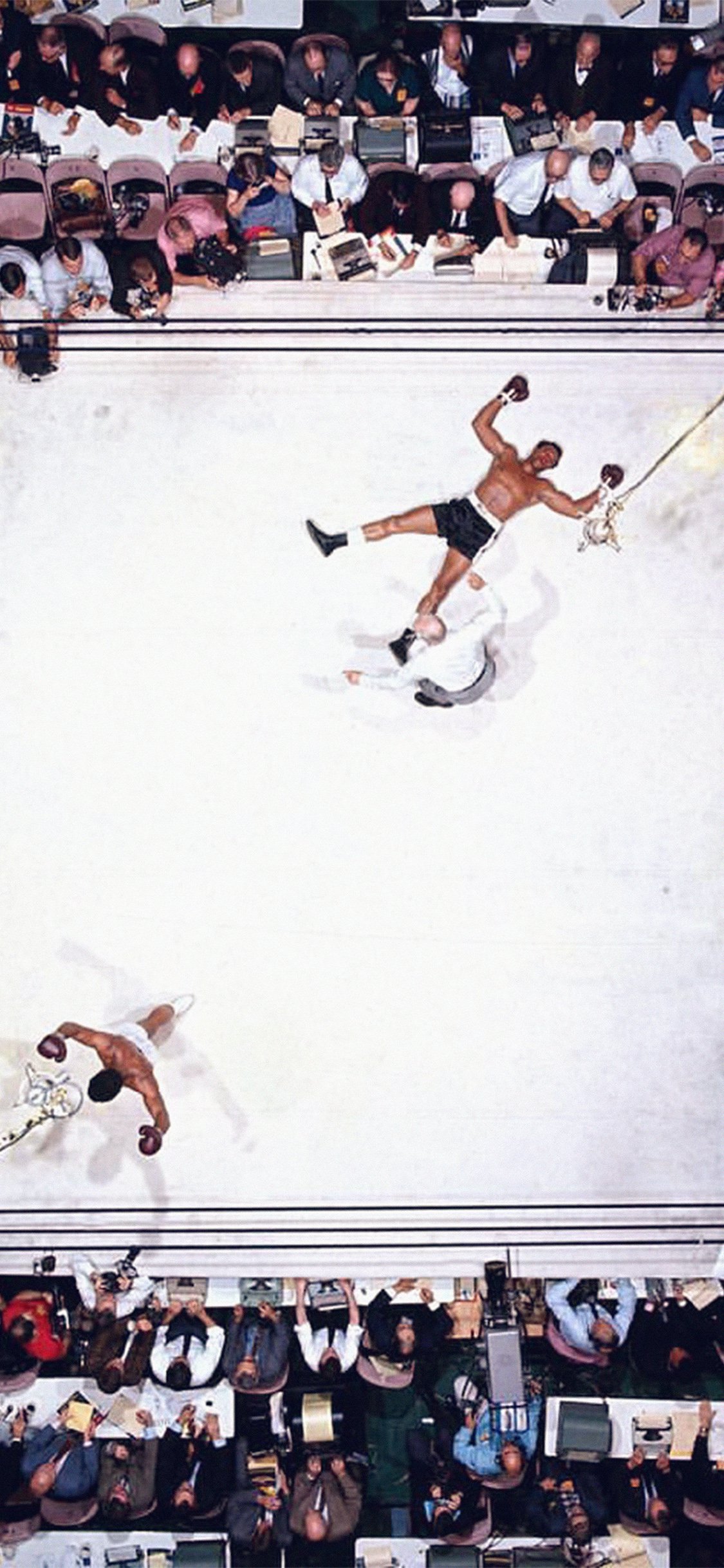 Neil Leifer Muhammad Ali, Houston Astrodome, Muhammad Ali Gegen Cleveland Williams, 5. Fitnessstudio, Schwergewicht. Wallpaper in 1125x2436 Resolution